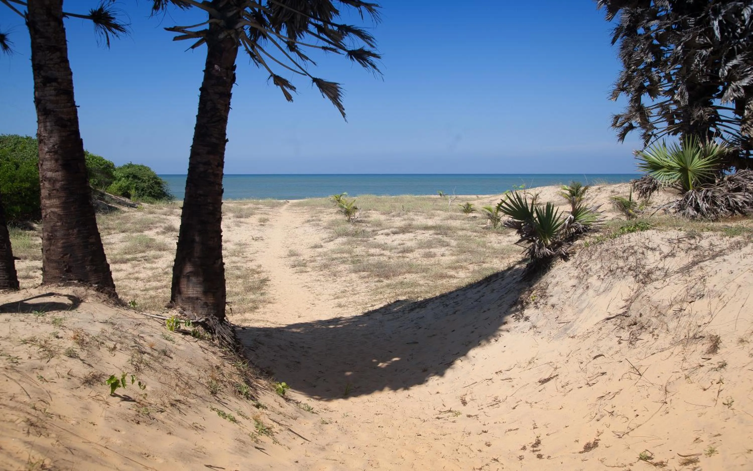 Sea view in Majestic Beach Retreat