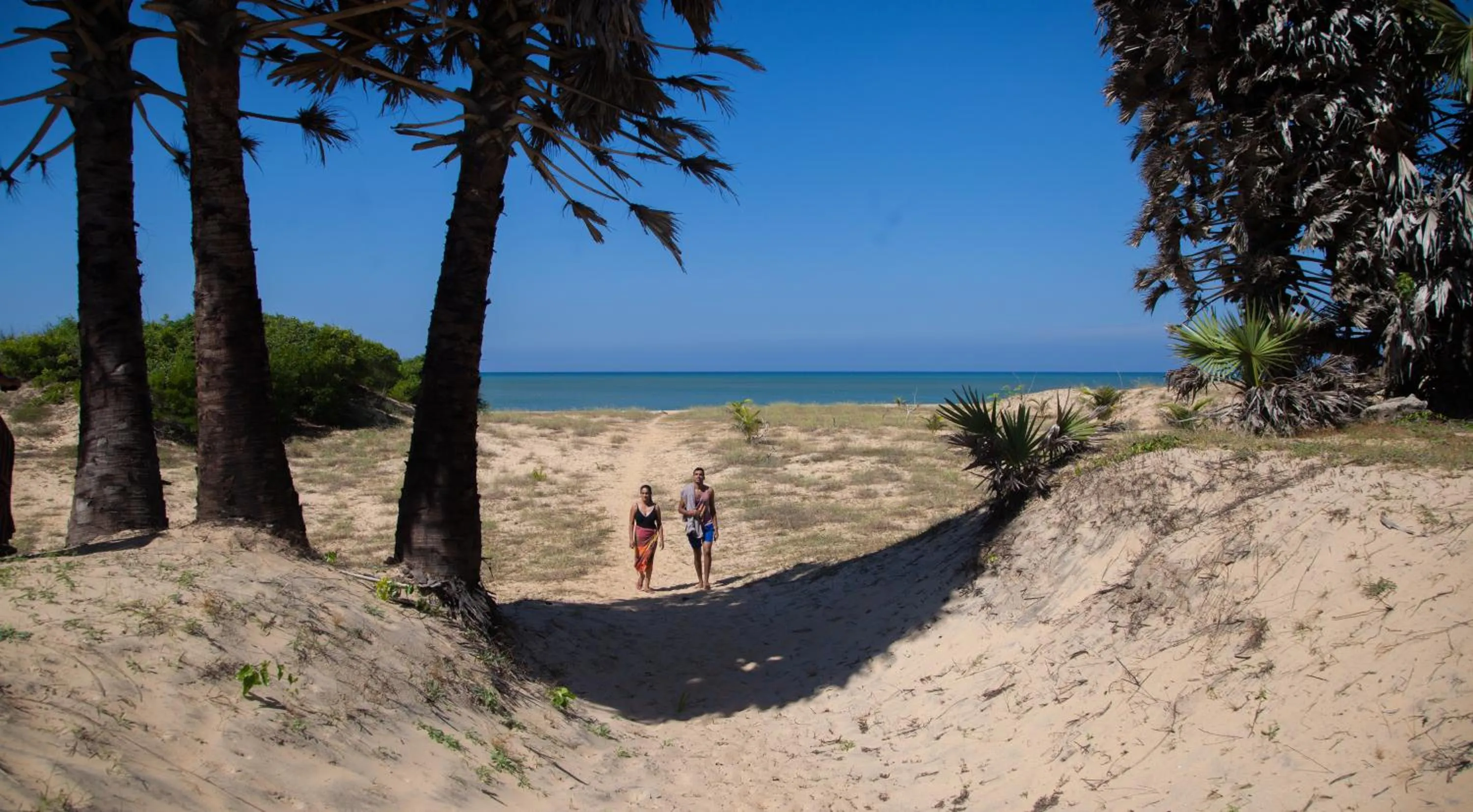 View (from property/room) in Majestic Beach Retreat
