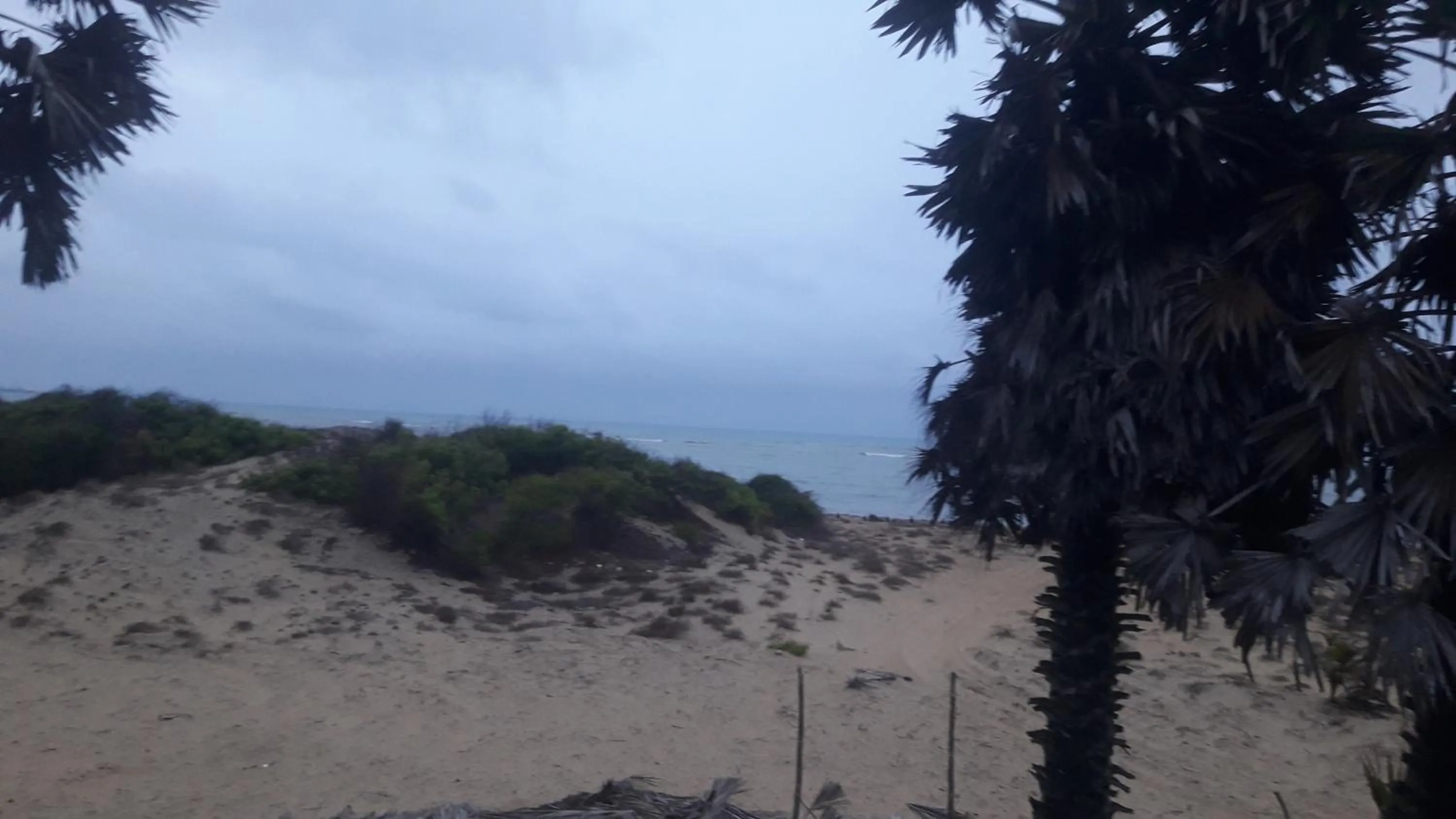 Natural landscape in Majestic Beach Retreat