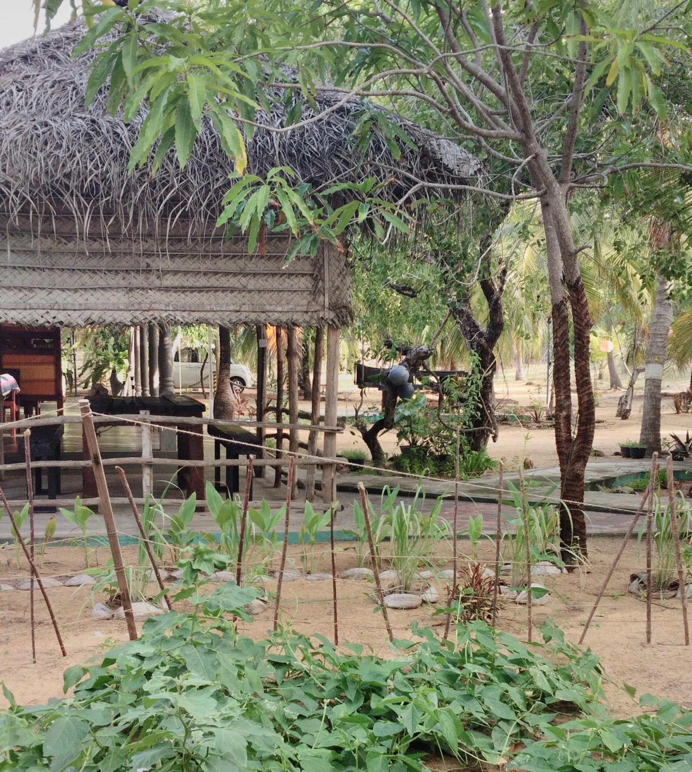 Garden view in Majestic Beach Retreat