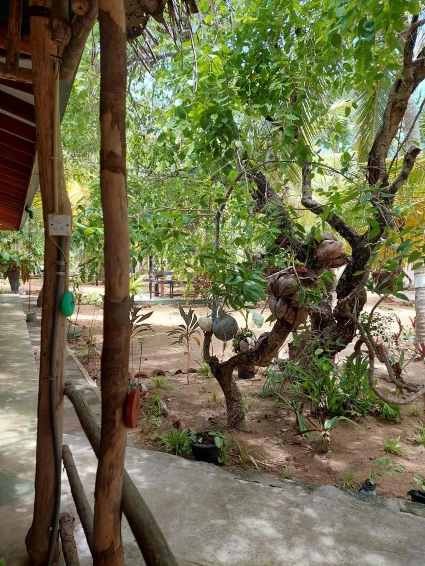 Natural landscape in Majestic Beach Retreat