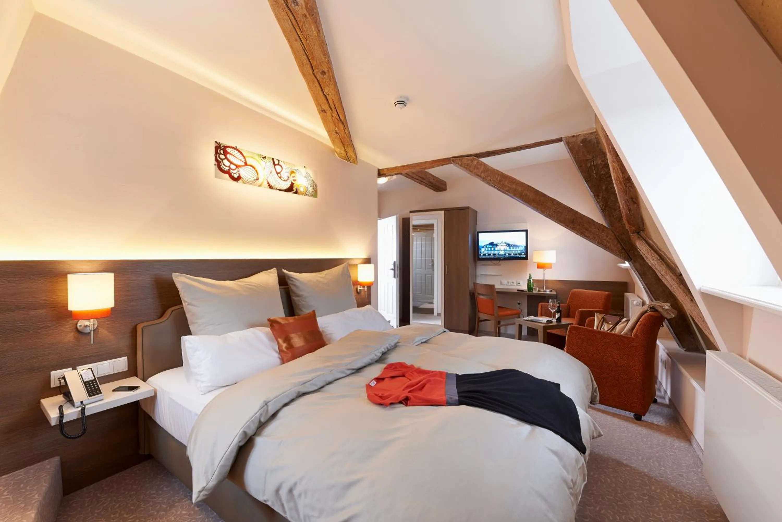 TV and multimedia in Hotel MainChateau