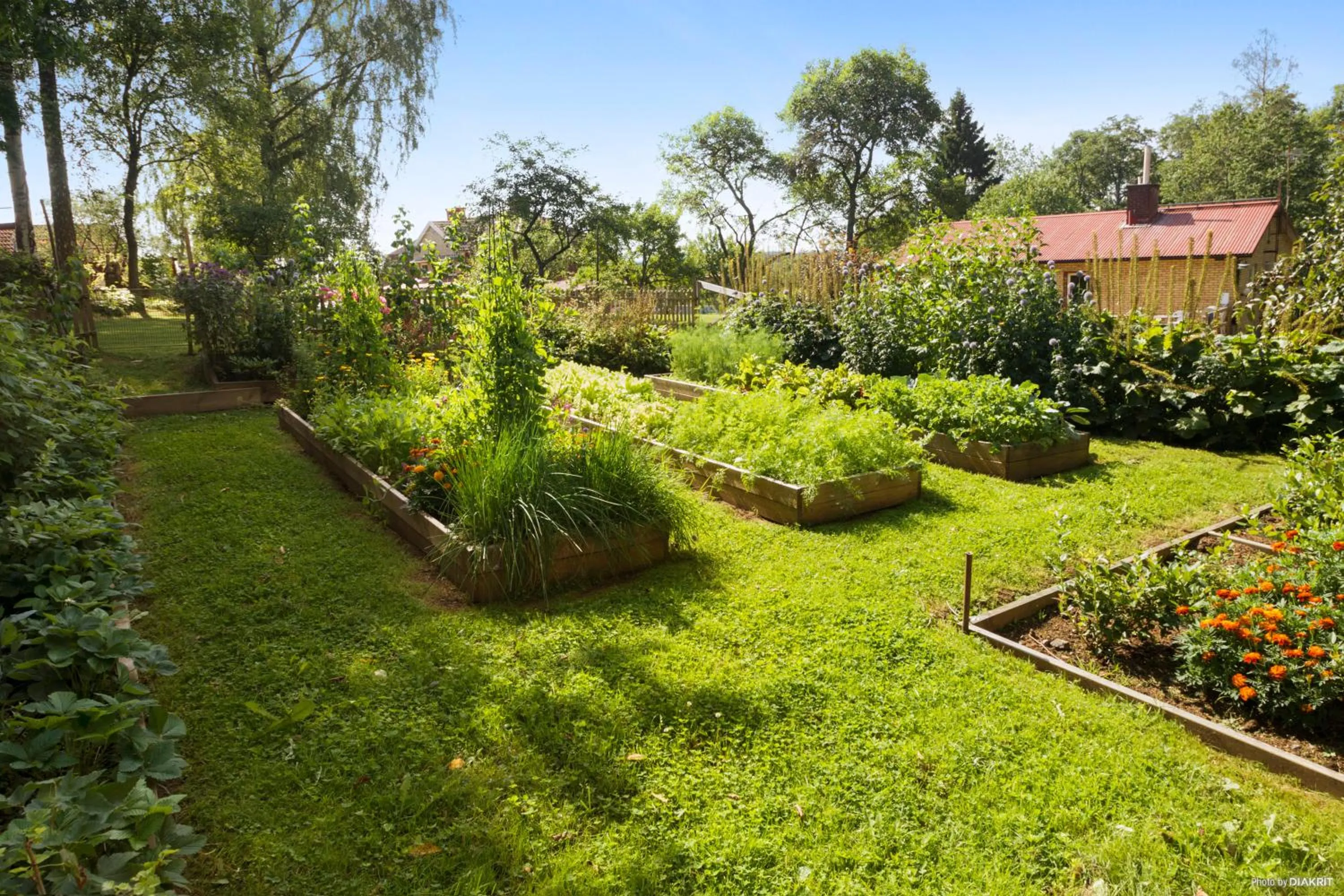 Day in Hotell Paradis