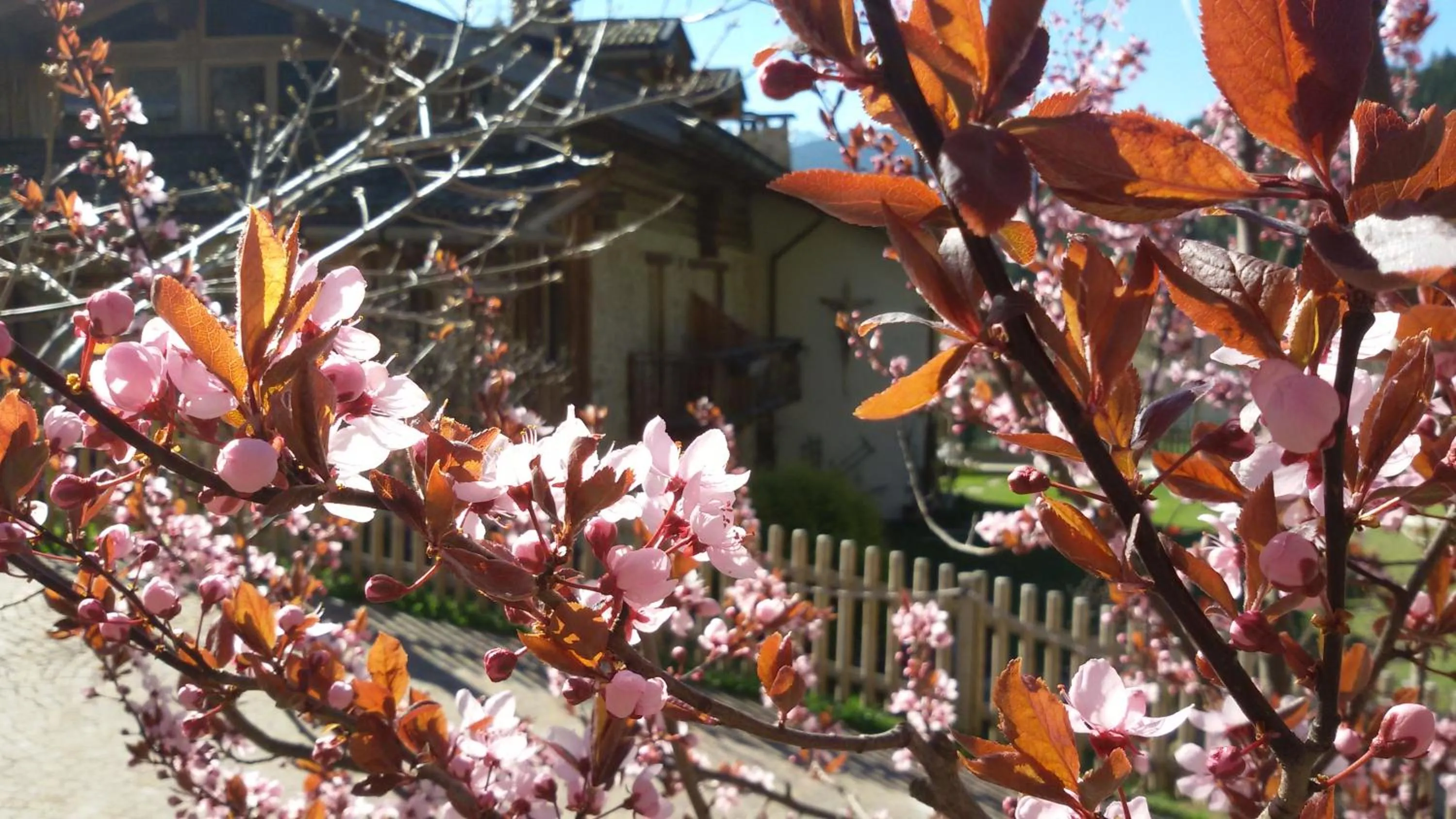 Spring in Maso Franceschella