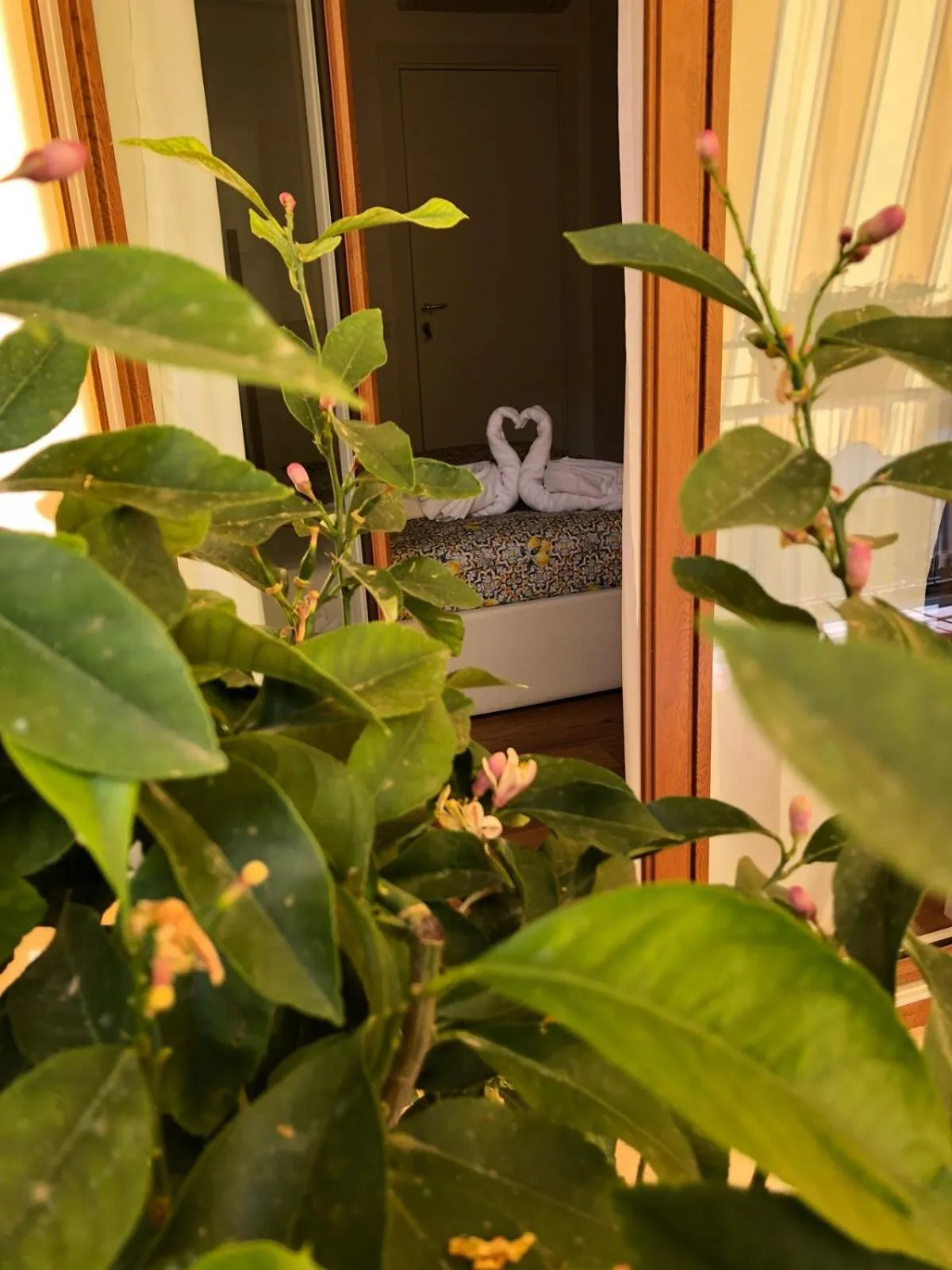 Balcony/Terrace in B&B La Rada