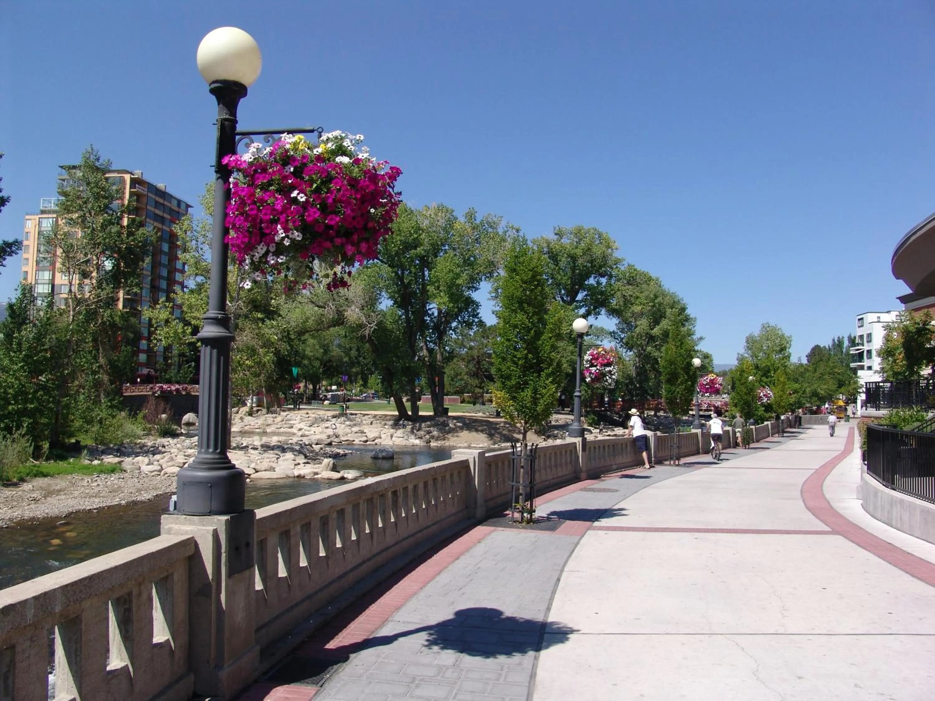 Natural landscape in Plaza Resort Club Reno