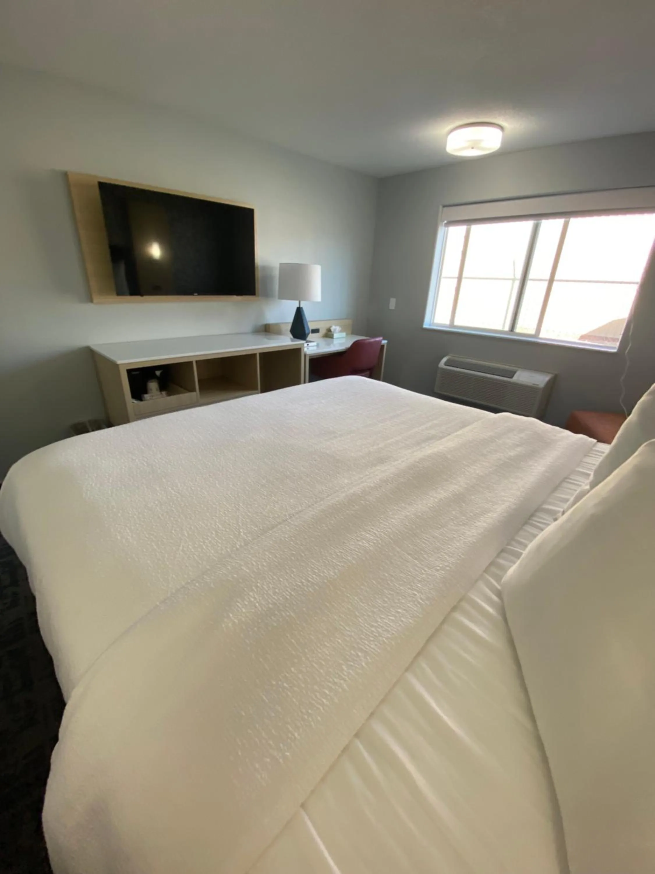 Bed in Best Western Montrose Inn