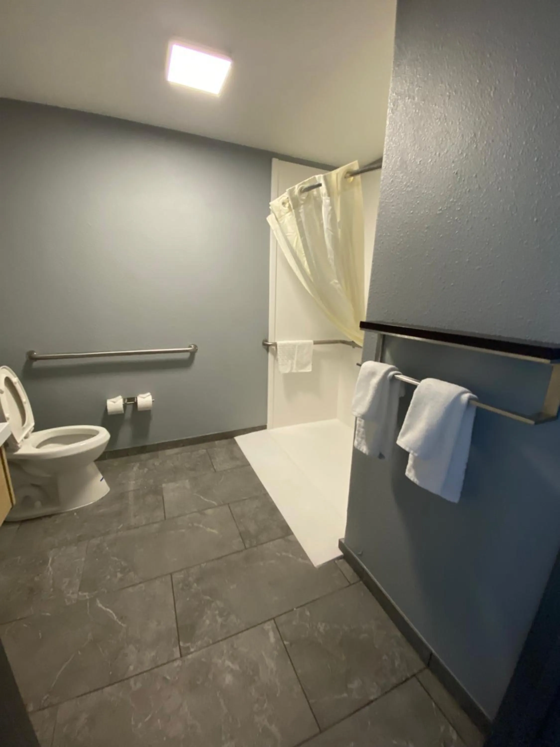 Bathroom in Best Western Montrose Inn