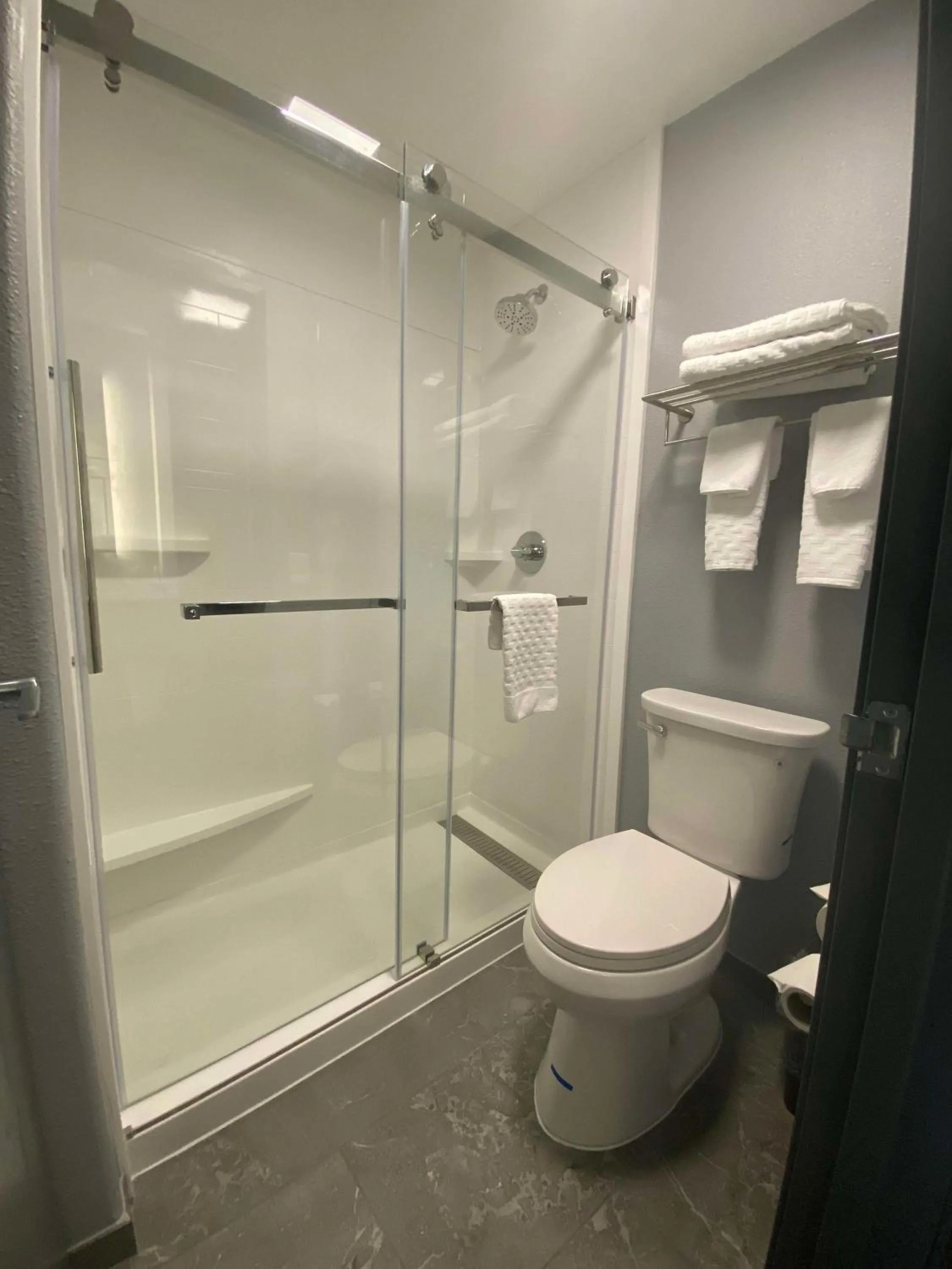 Bathroom in Best Western Montrose Inn