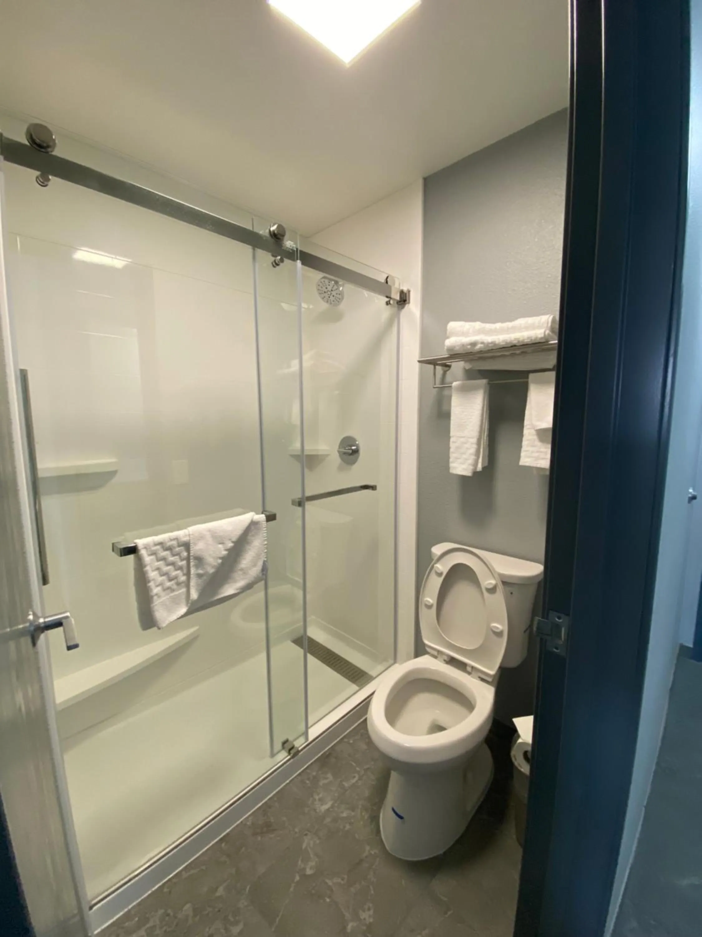 Bathroom in Best Western Montrose Inn