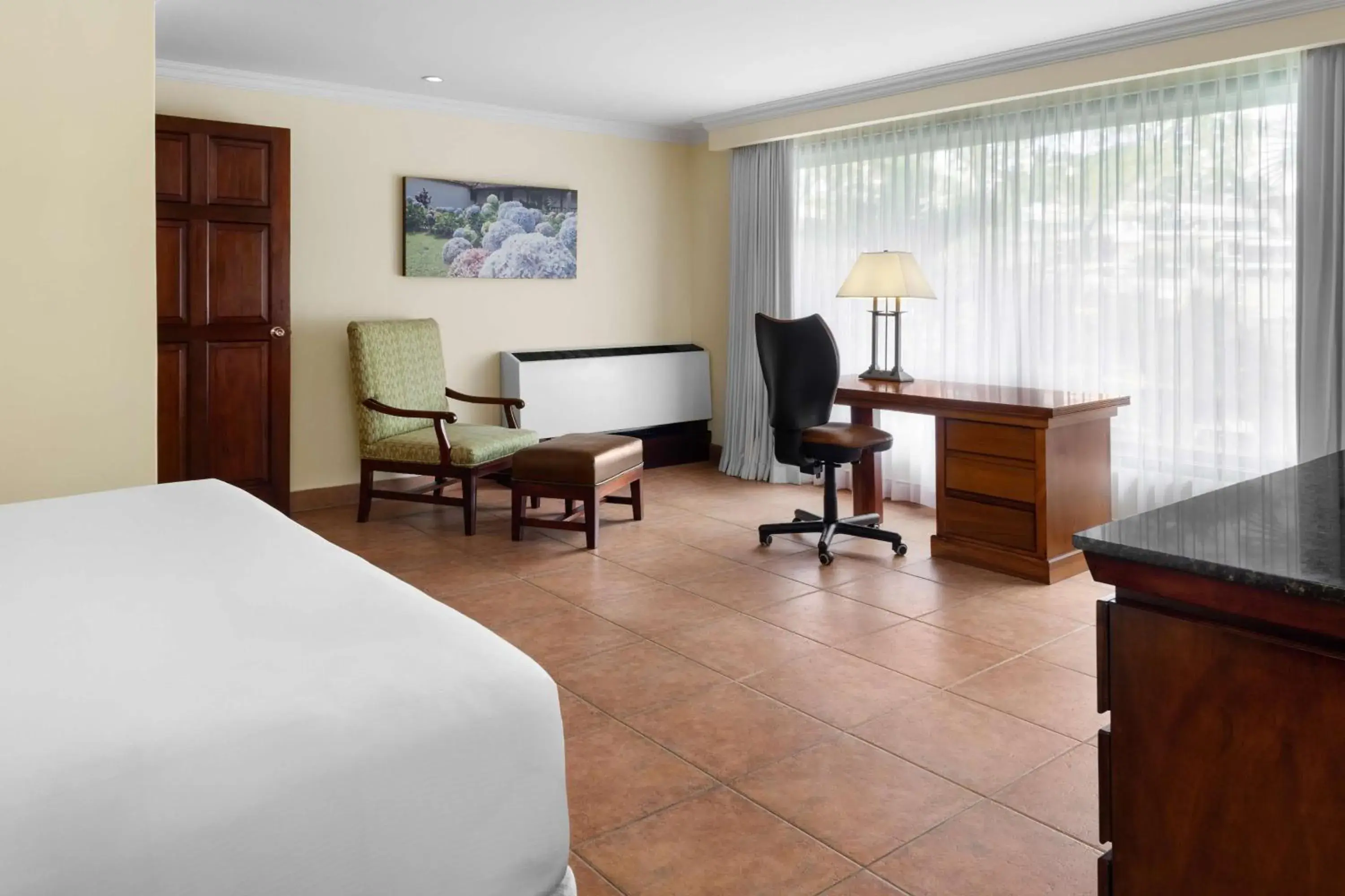 Junior Suite 1 King Bed - Lounge Access in Hilton Cariari DoubleTree San Jose - Costa Rica Junior Suite 1 King Bed - Lounge Access in Hilton Cariari DoubleTree San Jose - Costa Rica