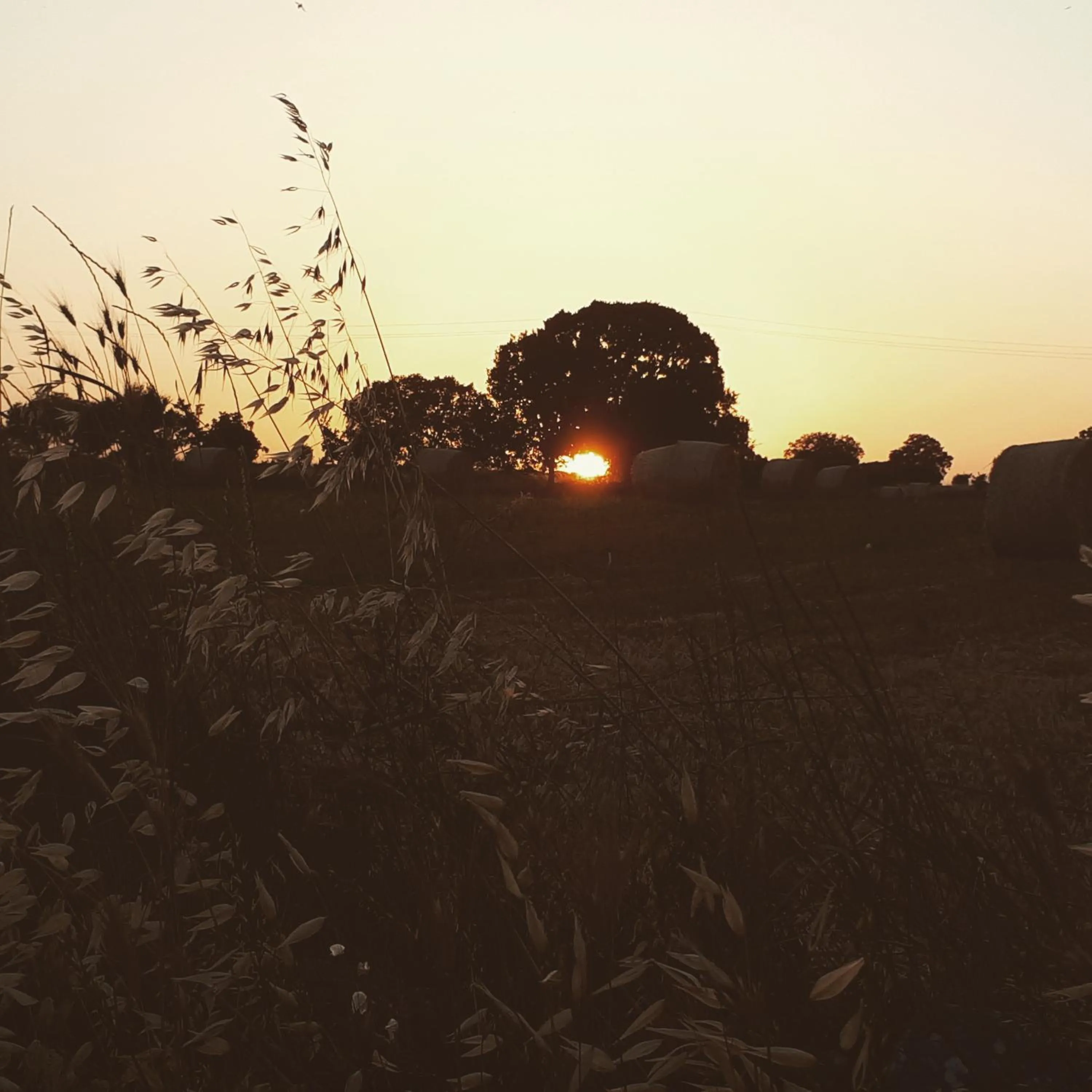 Natural landscape in Ai Sottani B&B Deluxe Suite