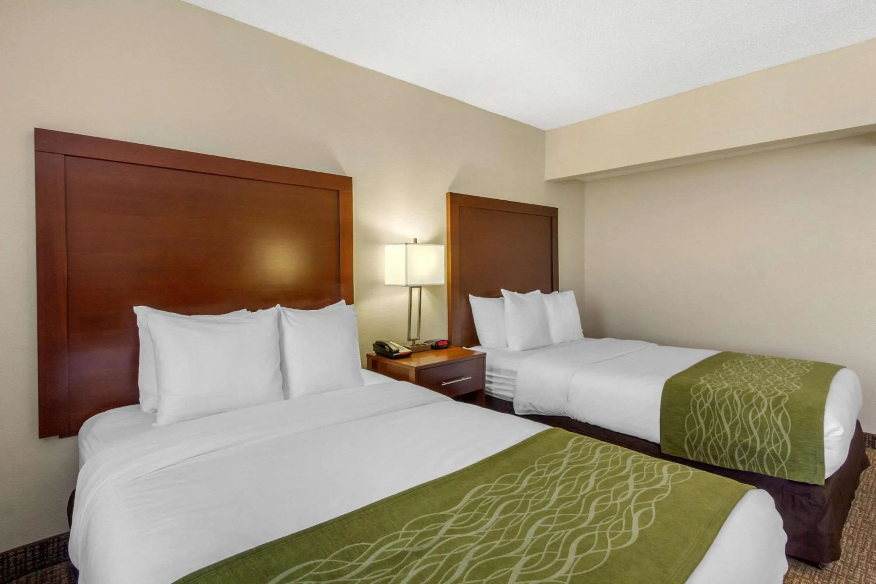 Bedroom, Bed in Comfort Inn St Petersburg North