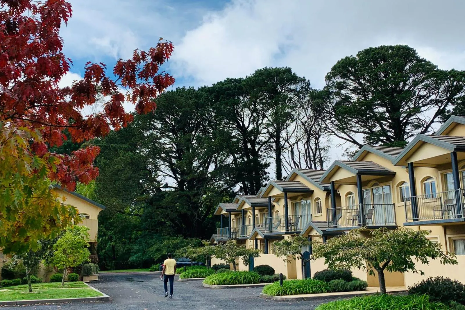 Property building in Falls Mountain Retreat Blue Mountains