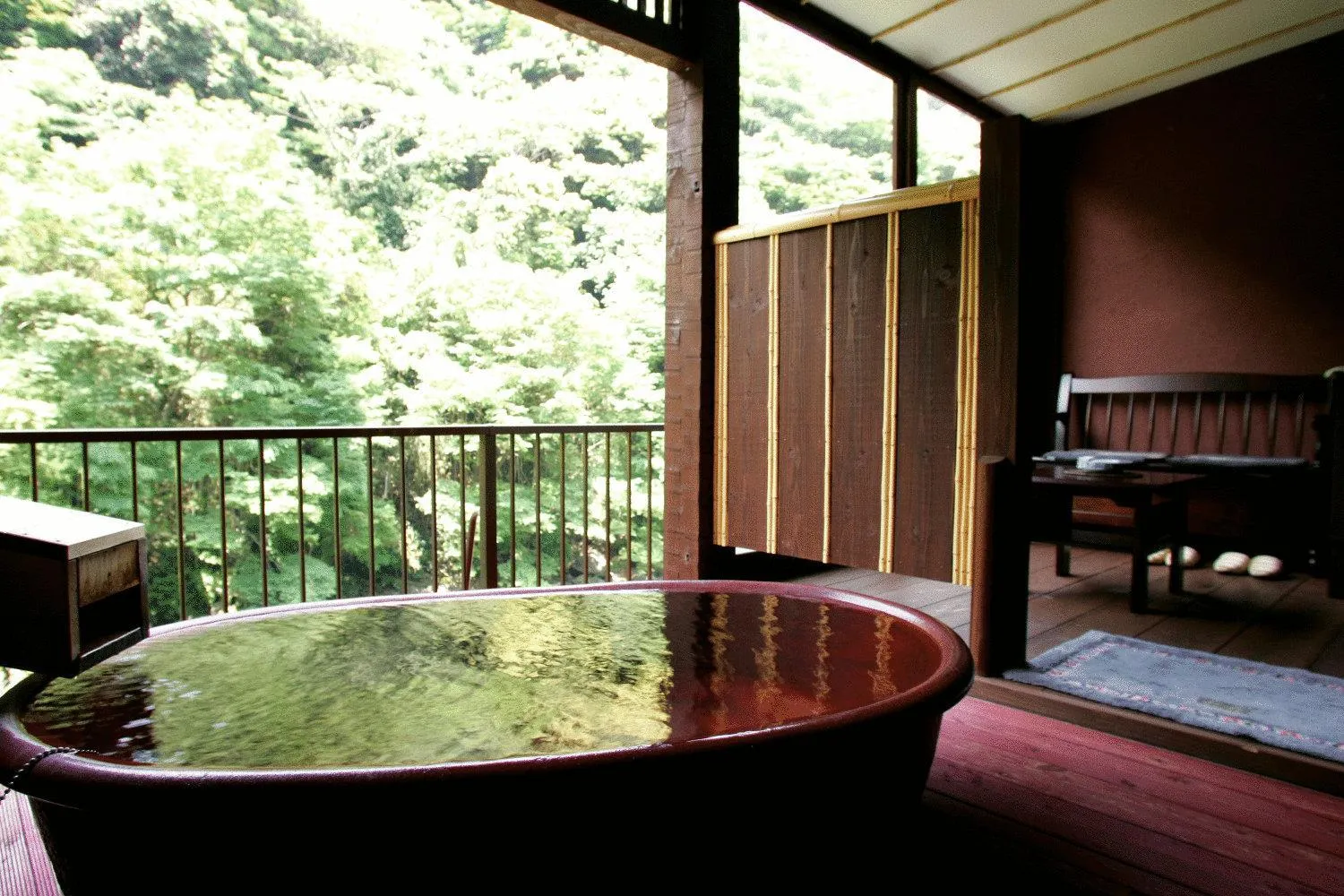 Hot Spring Bath in Shiunso