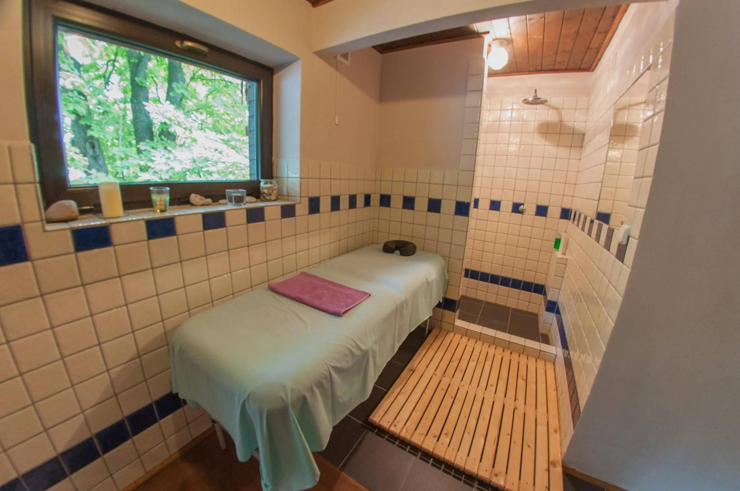 Sauna, Bed in Hotel Vyhlídka