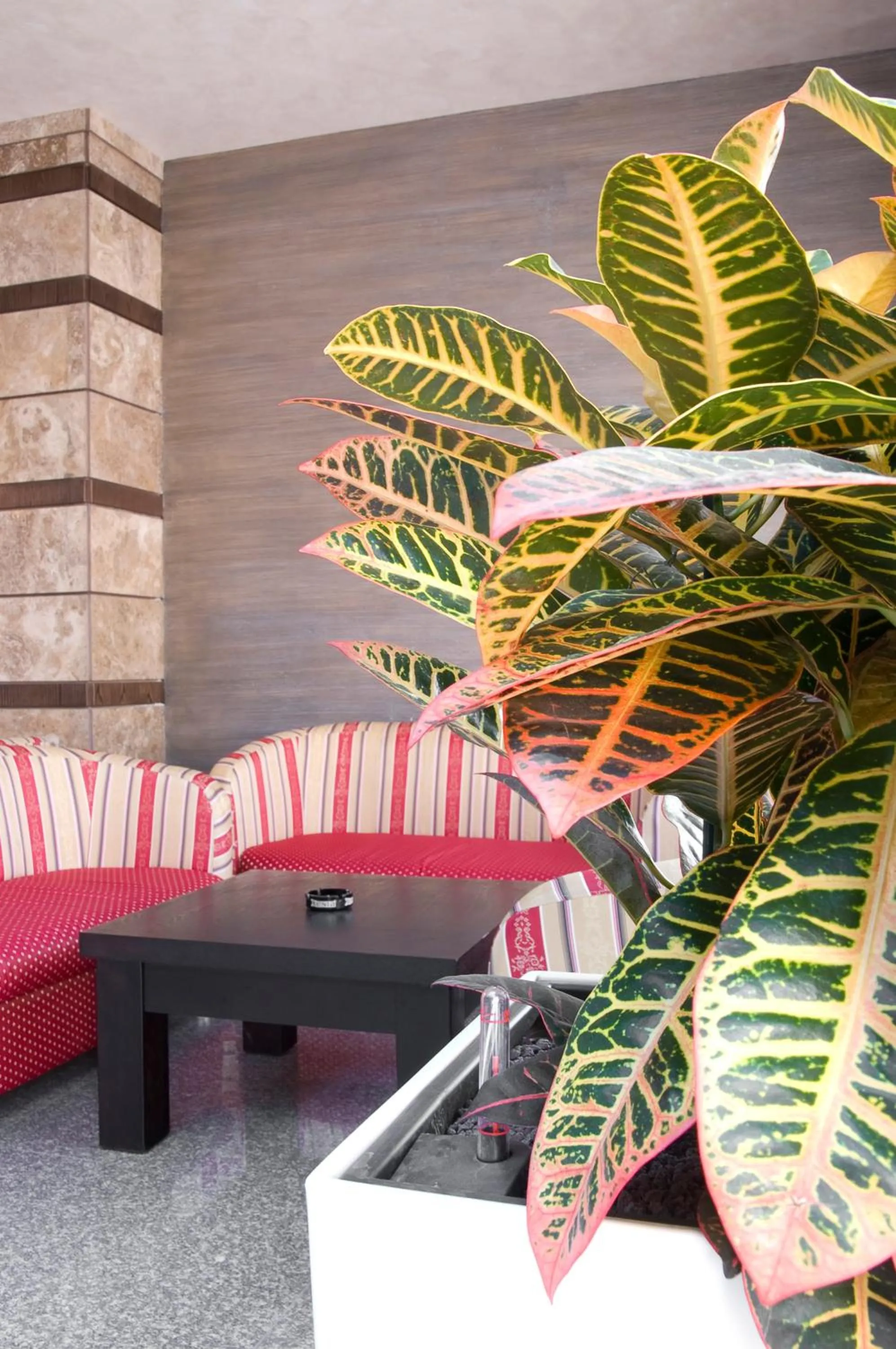 Lobby or reception in Detelina Hotel