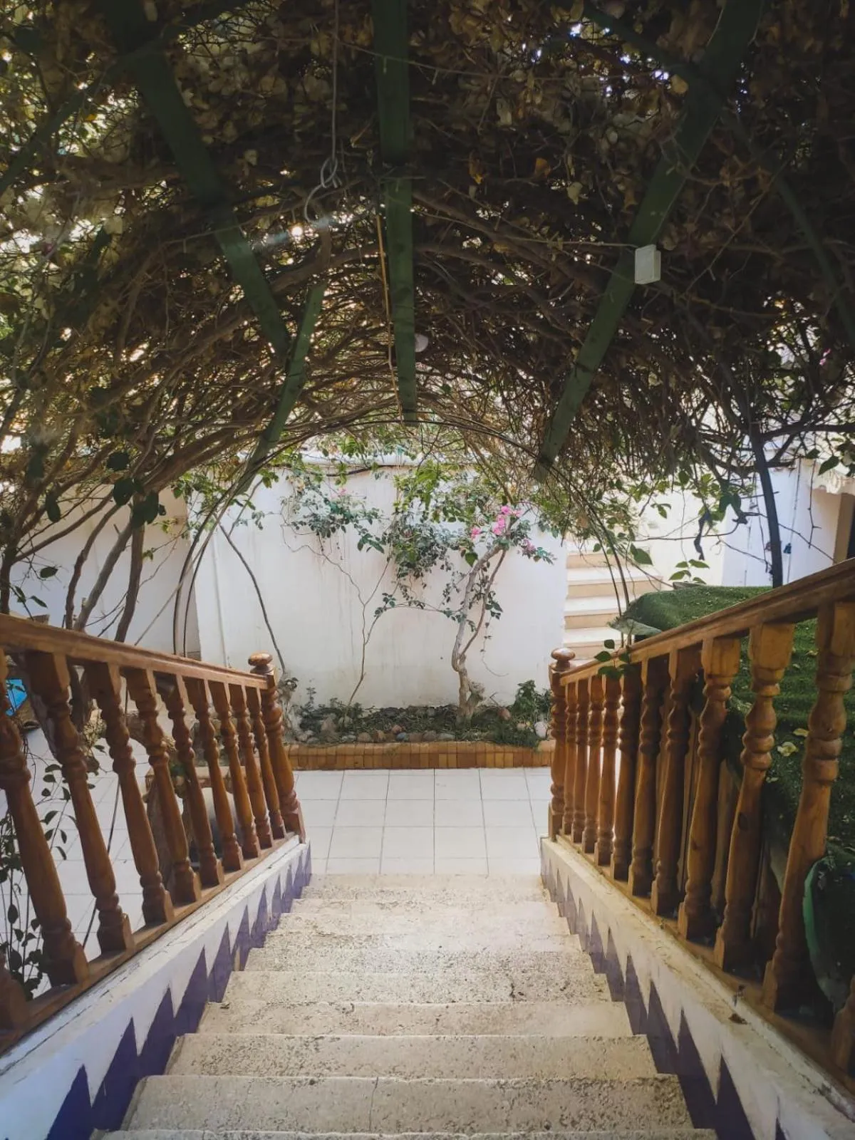 Property building in Neptune Hotel