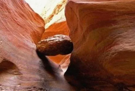 Entertainment in Neptune Hotel