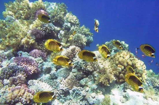 View (from property/room) in Neptune Hotel