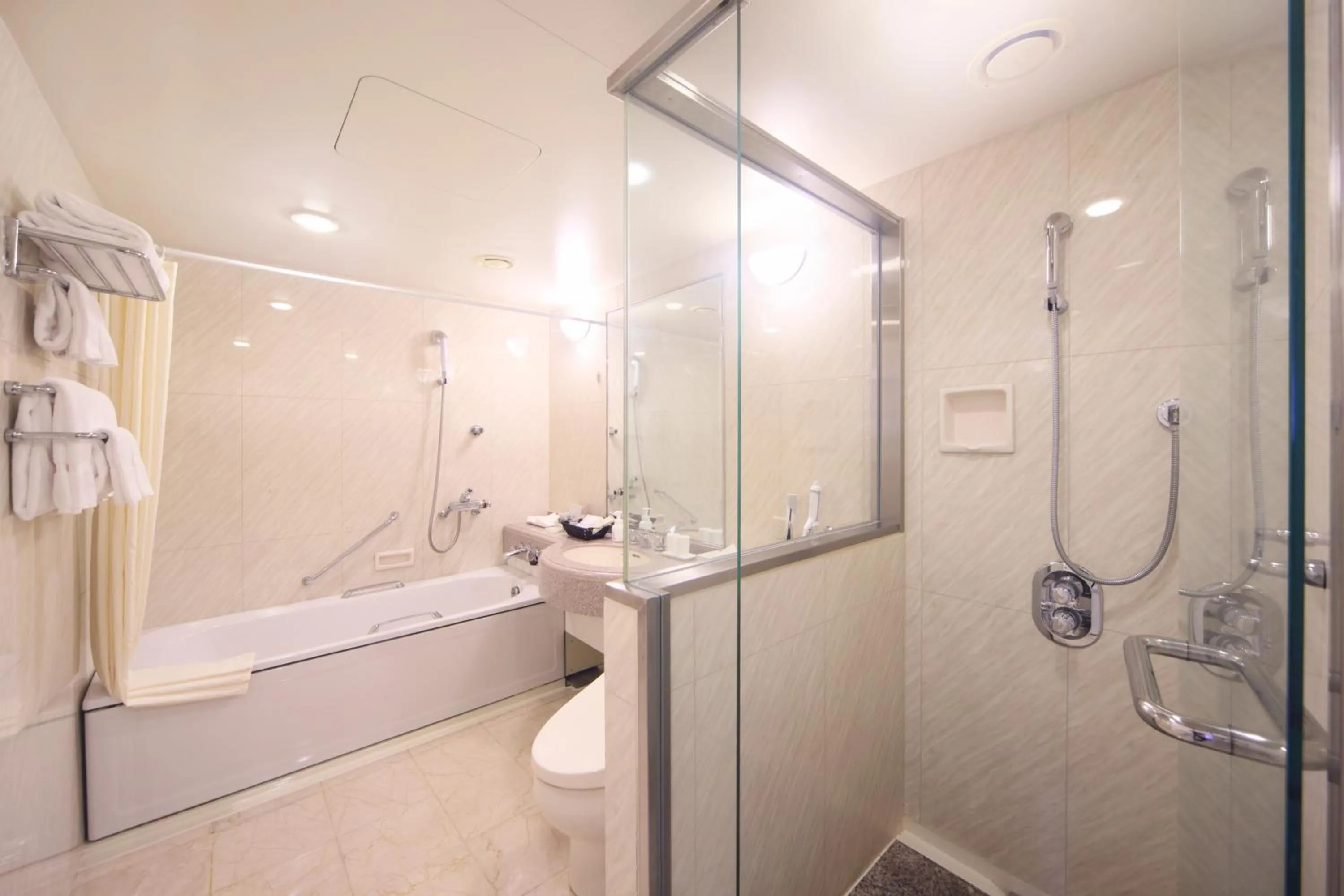 Toilet in Hotel Nikko Nara