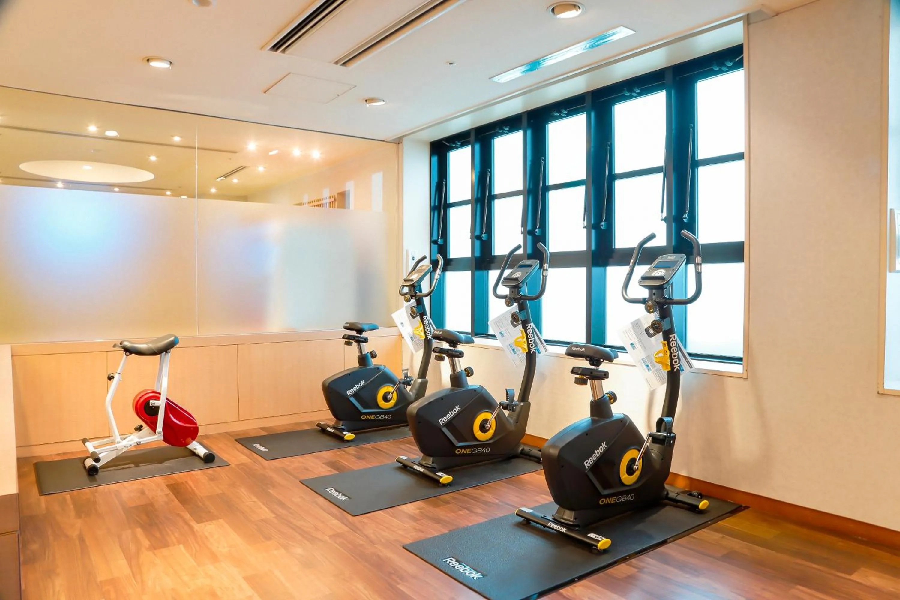 Fitness centre/facilities in Hotel Nikko Nara