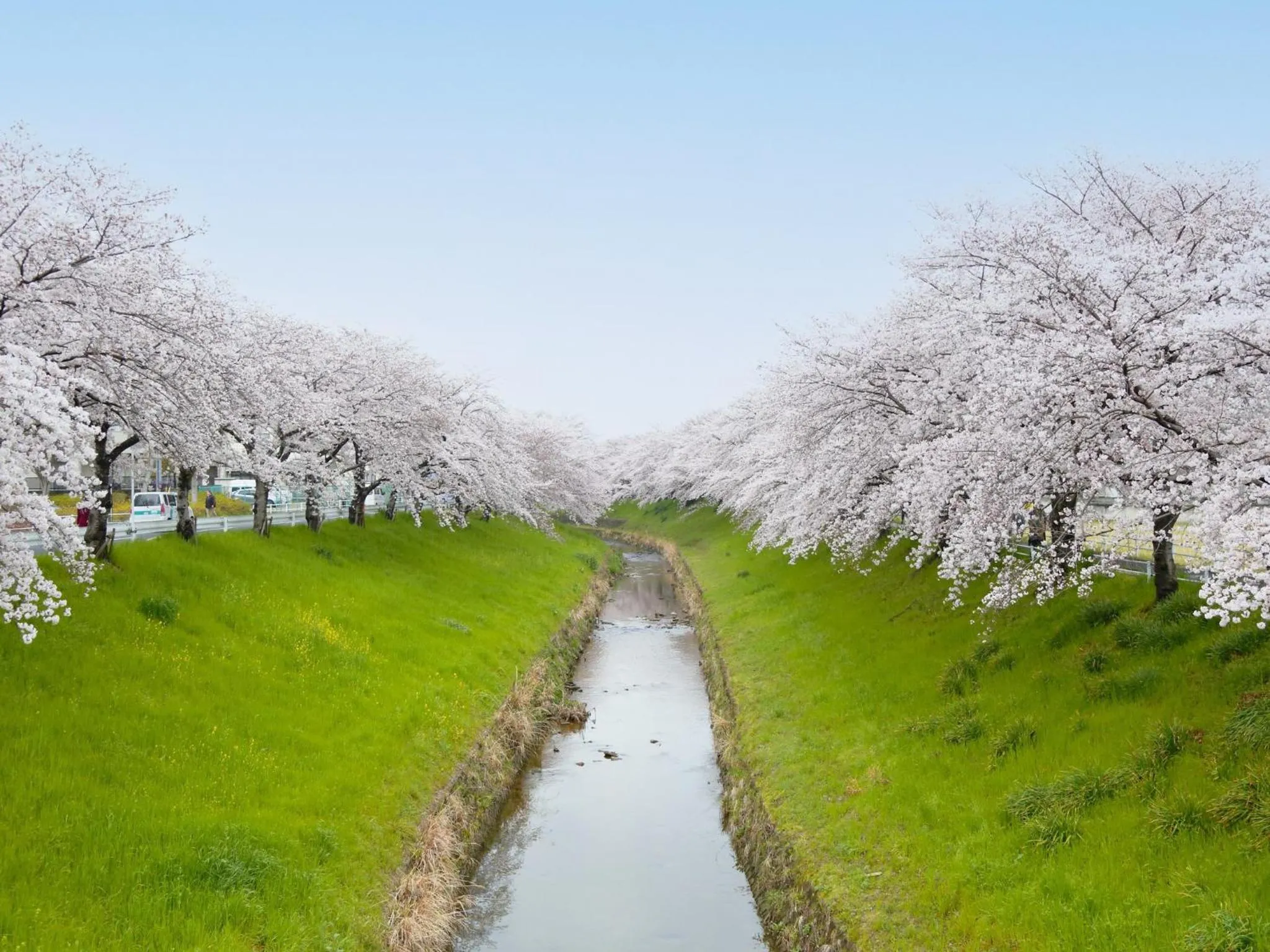 Nearby landmark in Hotel Nikko Nara