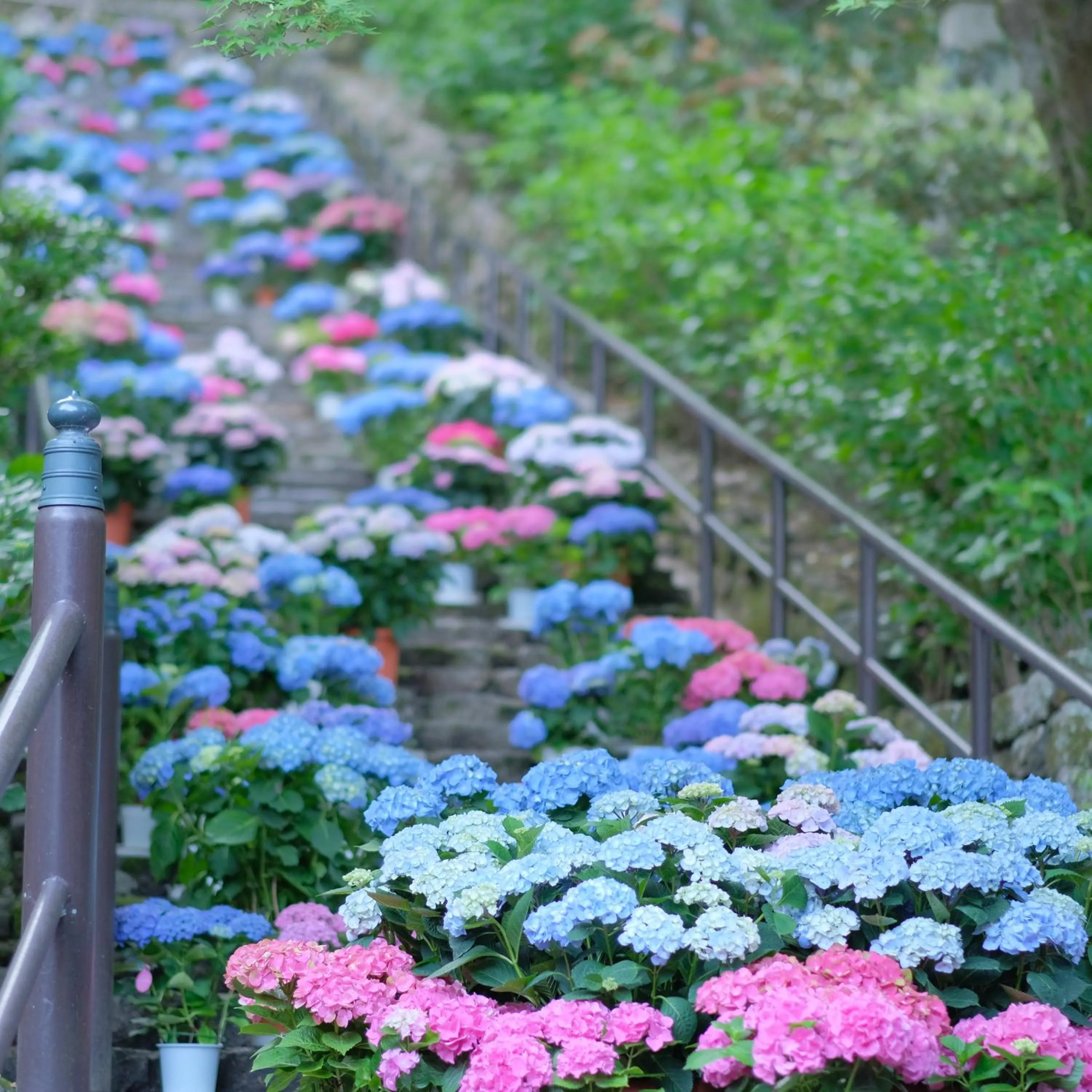 Nearby landmark in Hotel Nikko Nara