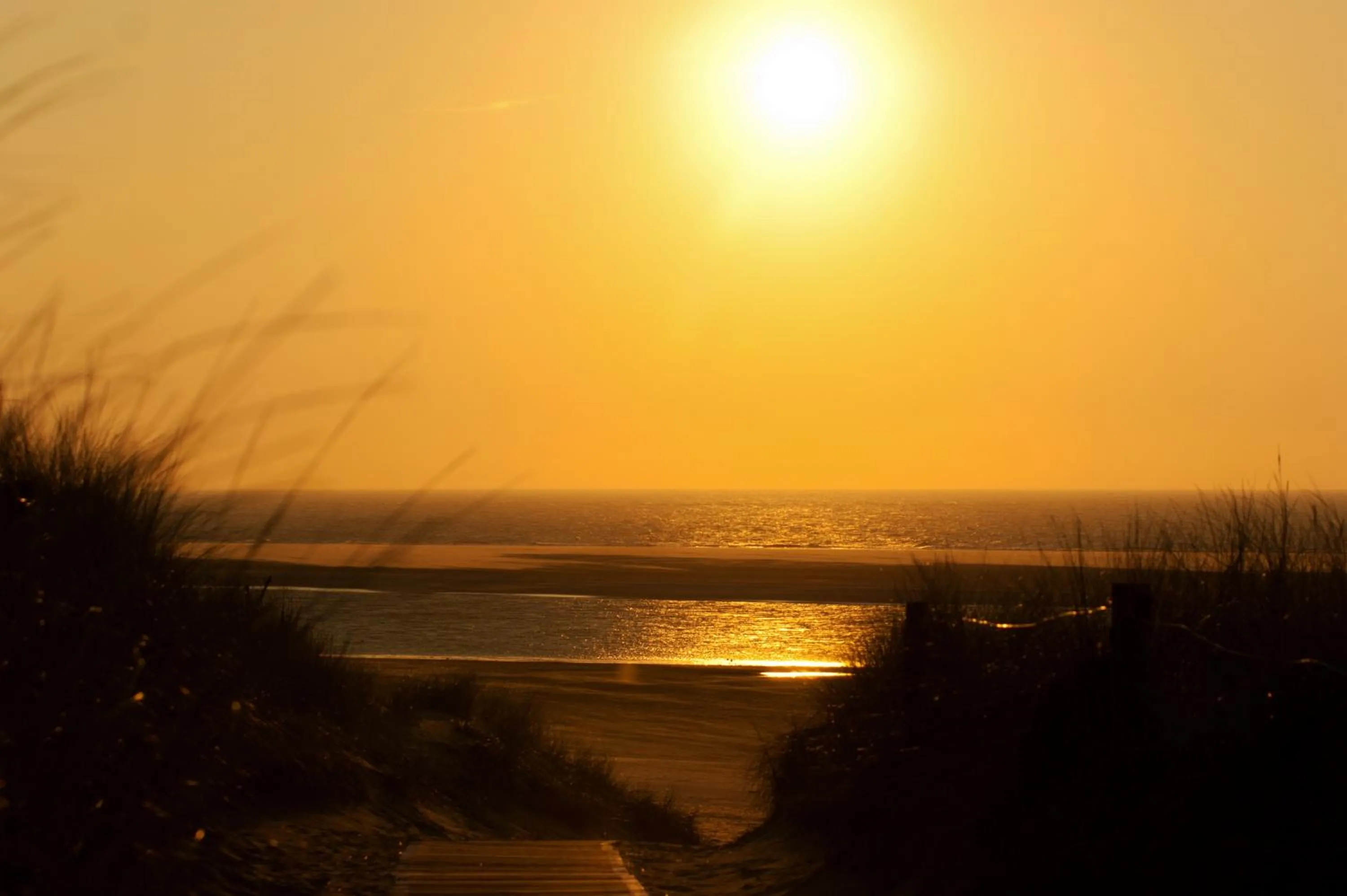 Area and facilities in Hotel Kolb