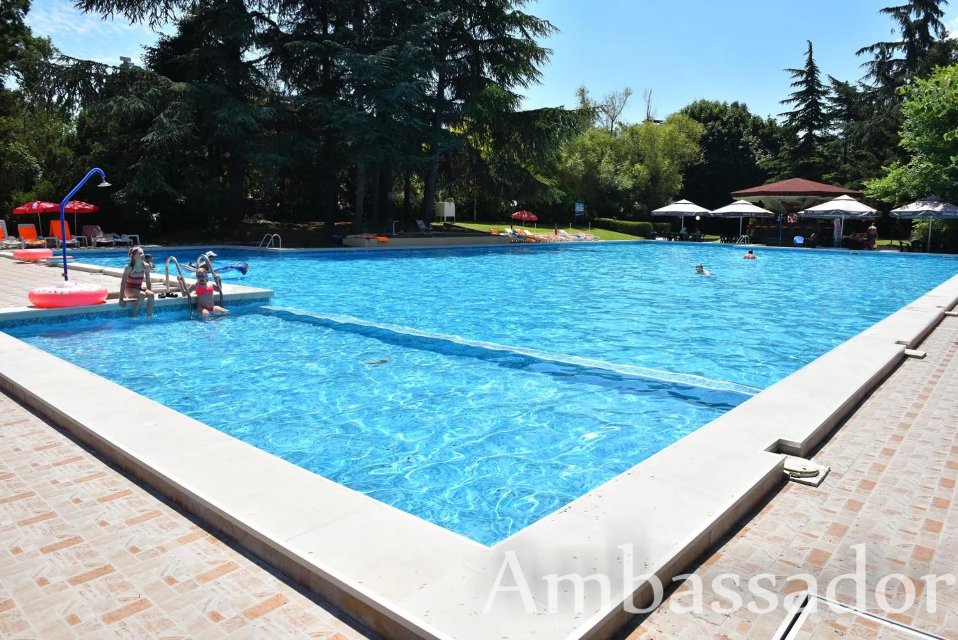 Swimming pool in Hotel Ambassador - Free Parking