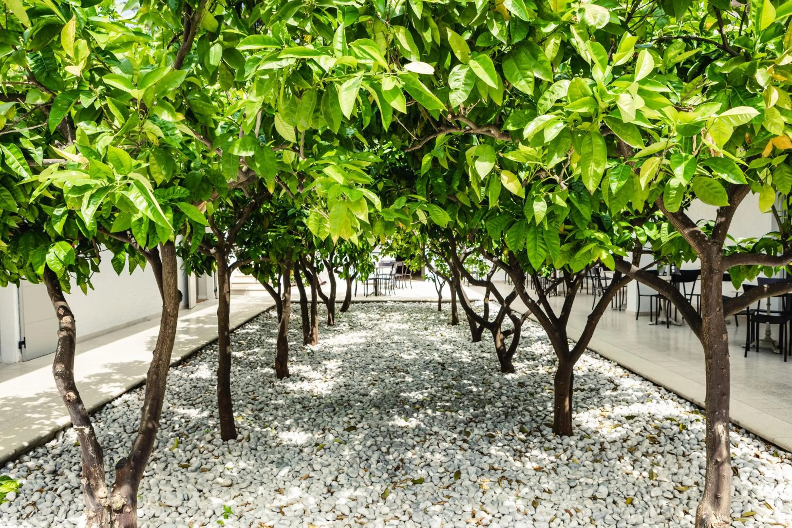 Garden in SeeBay Hotel