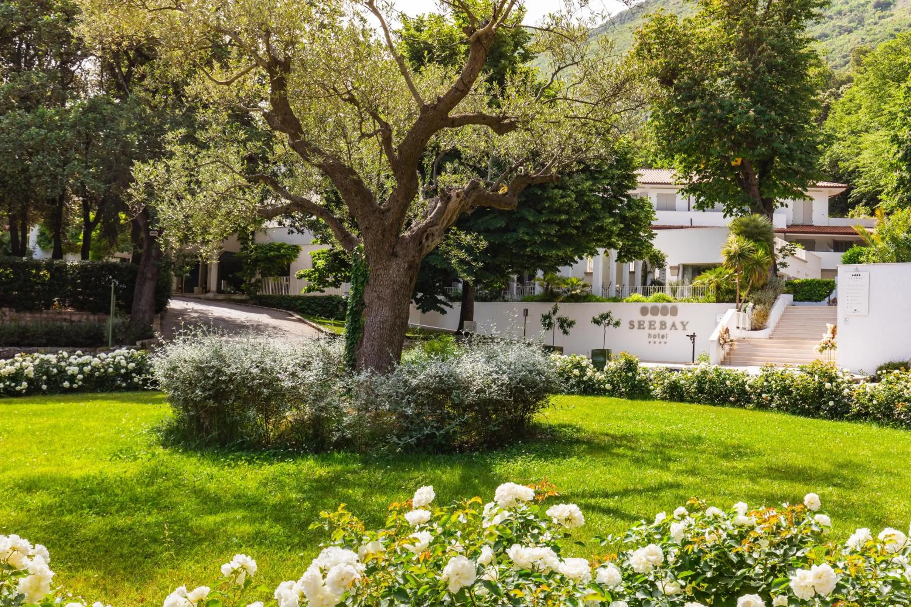 Garden in SeeBay Hotel