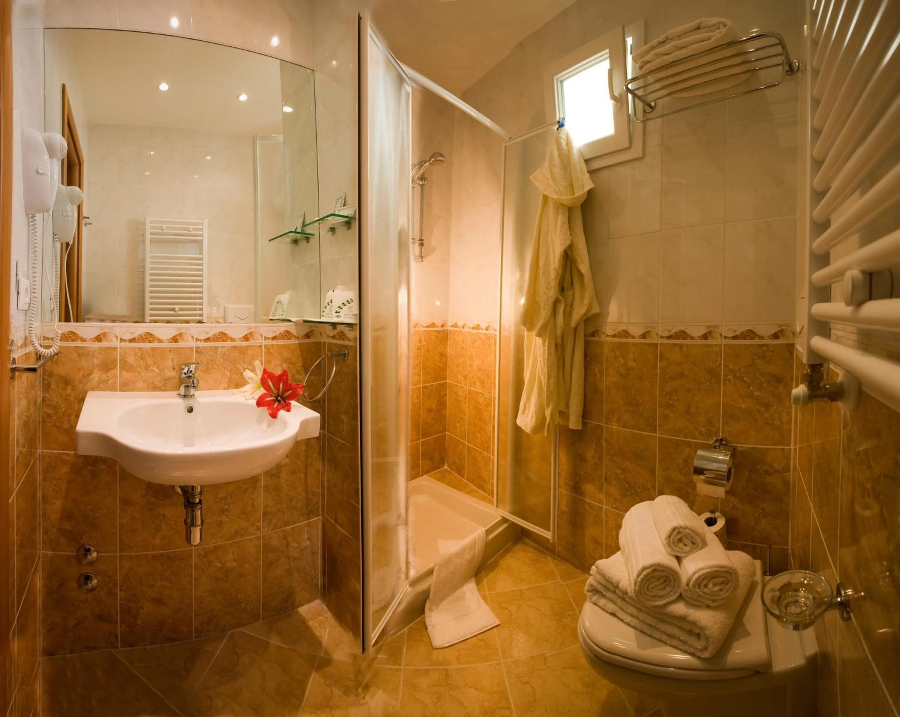 Shower in Hotel Plaza