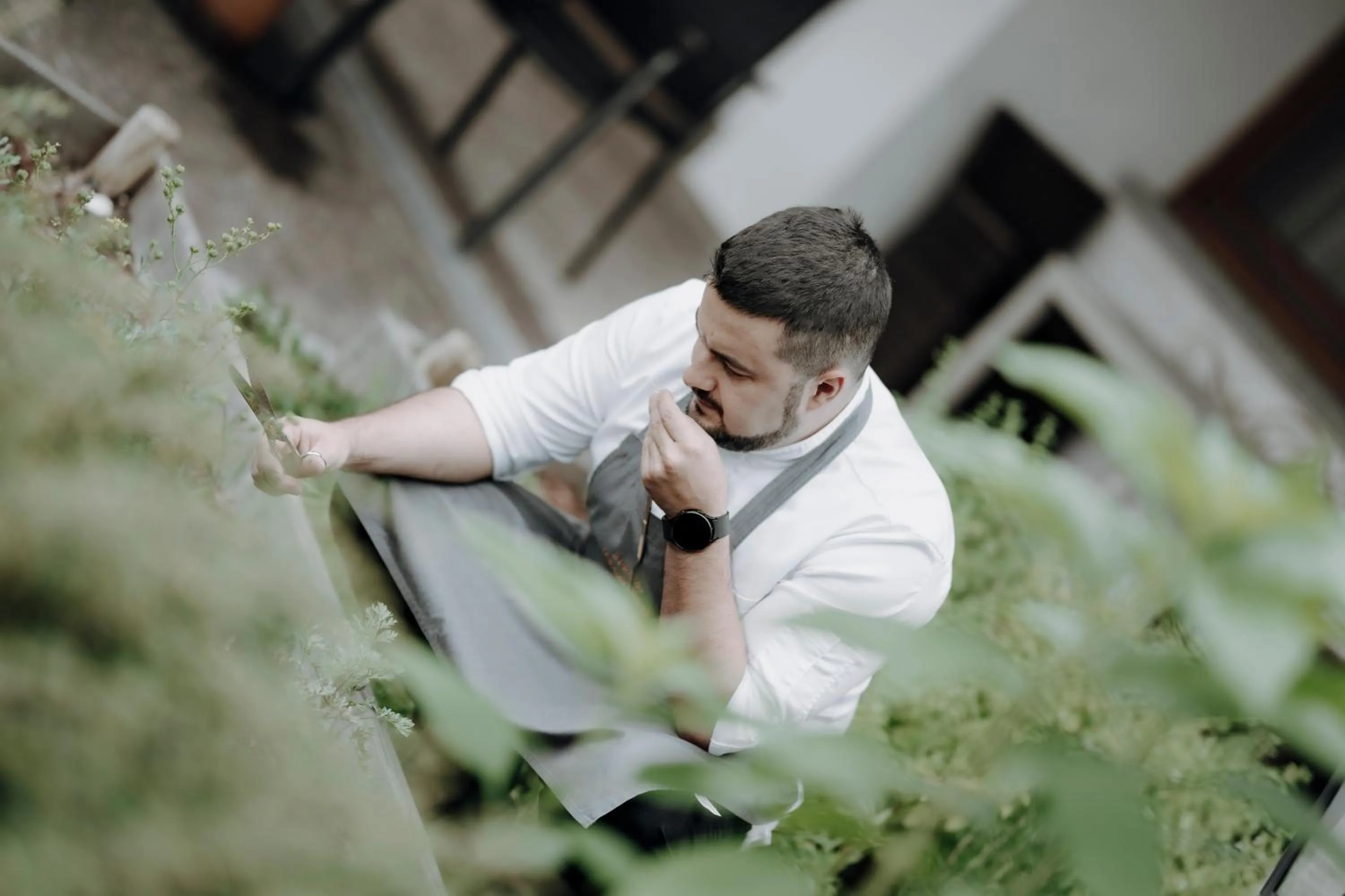 Day in Il Piccolo Dolomiti Resort