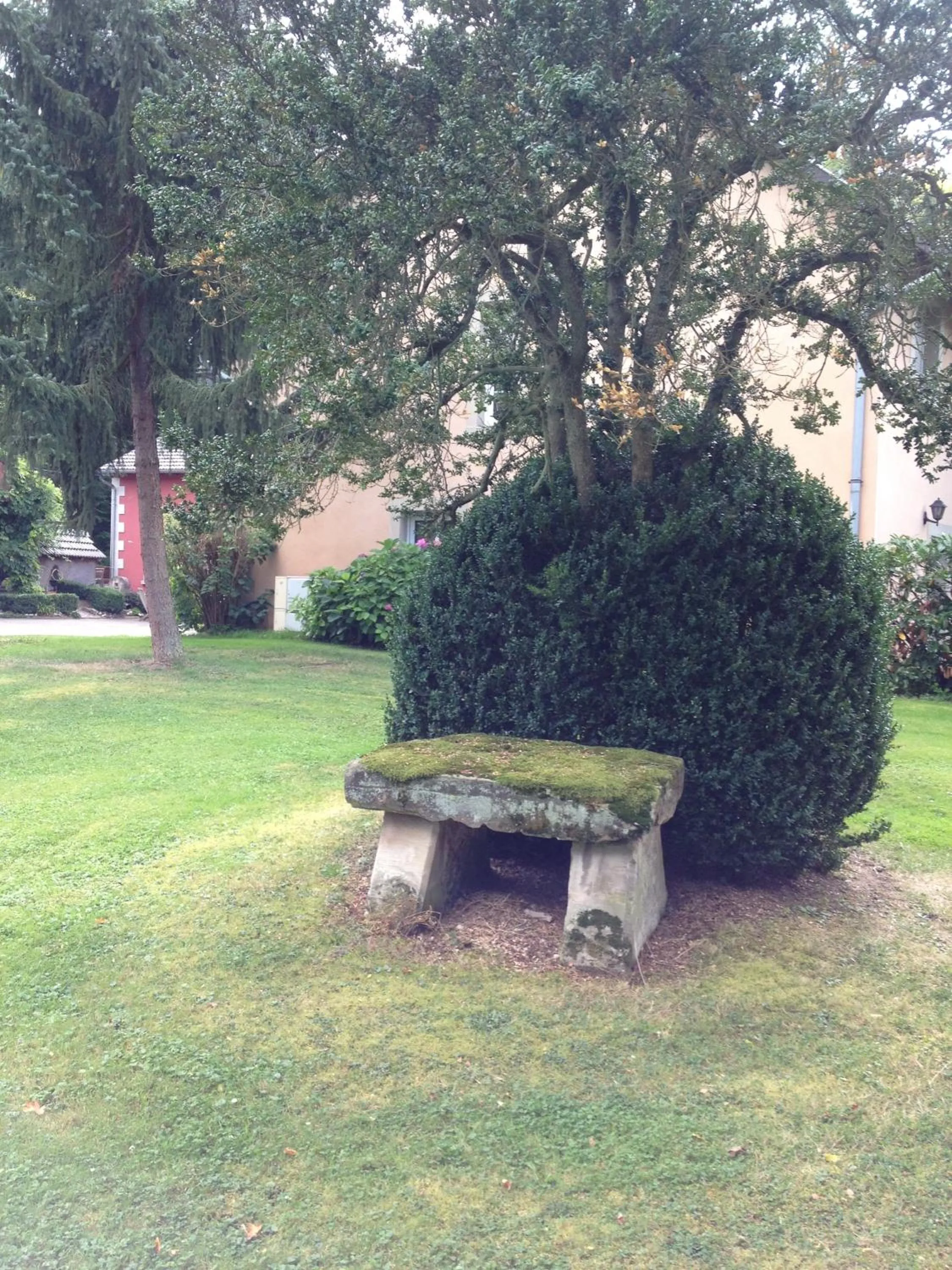 Garden in Logis Hôtel DOMAINE du MOULIN