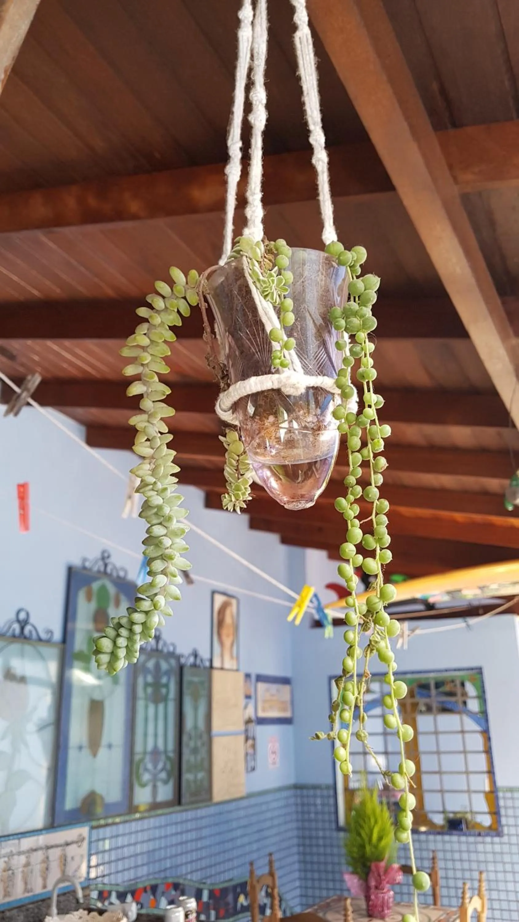 Restaurant/places to eat in Suite Queen D'Arte