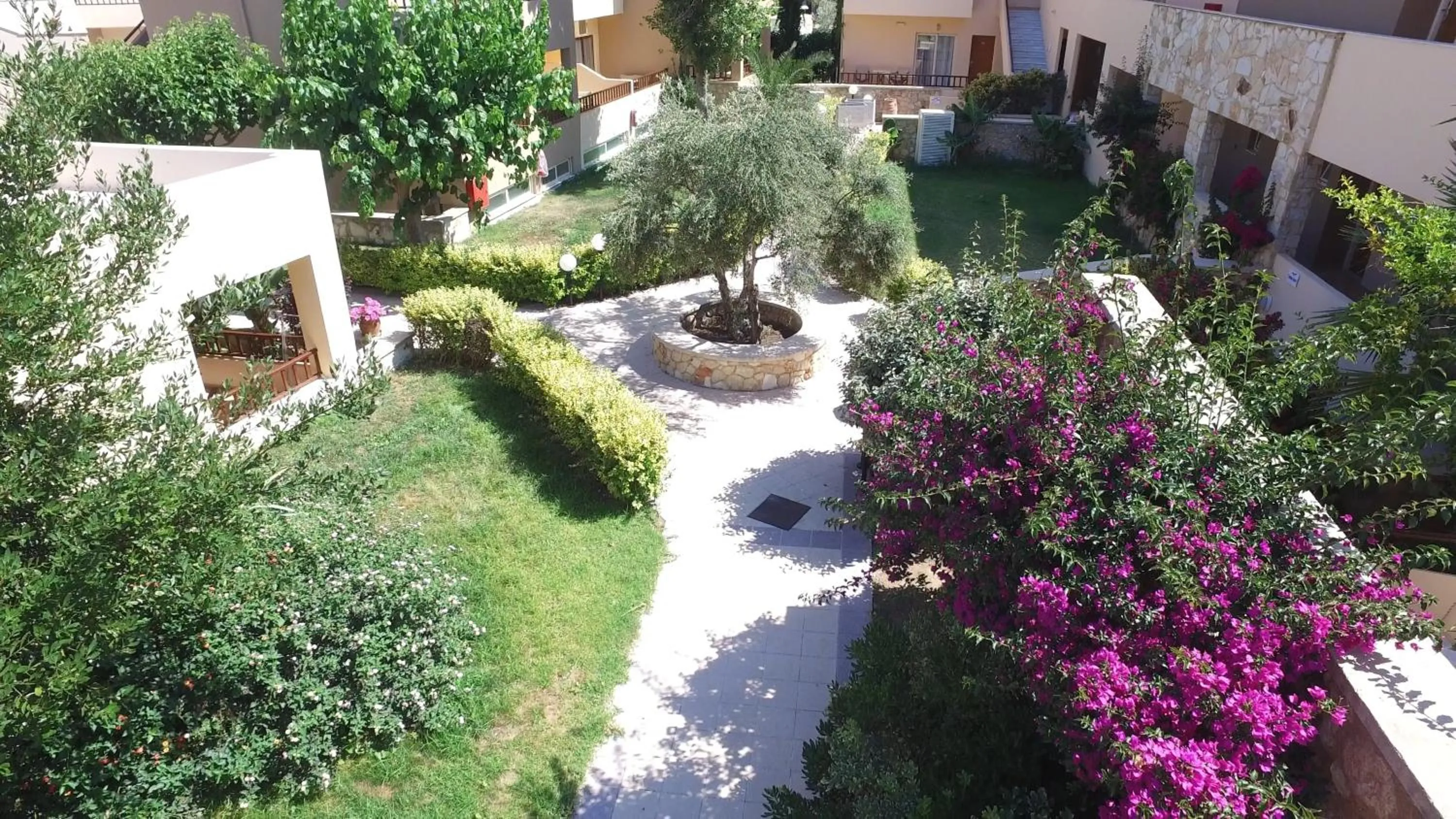 Garden in Indigo Mare