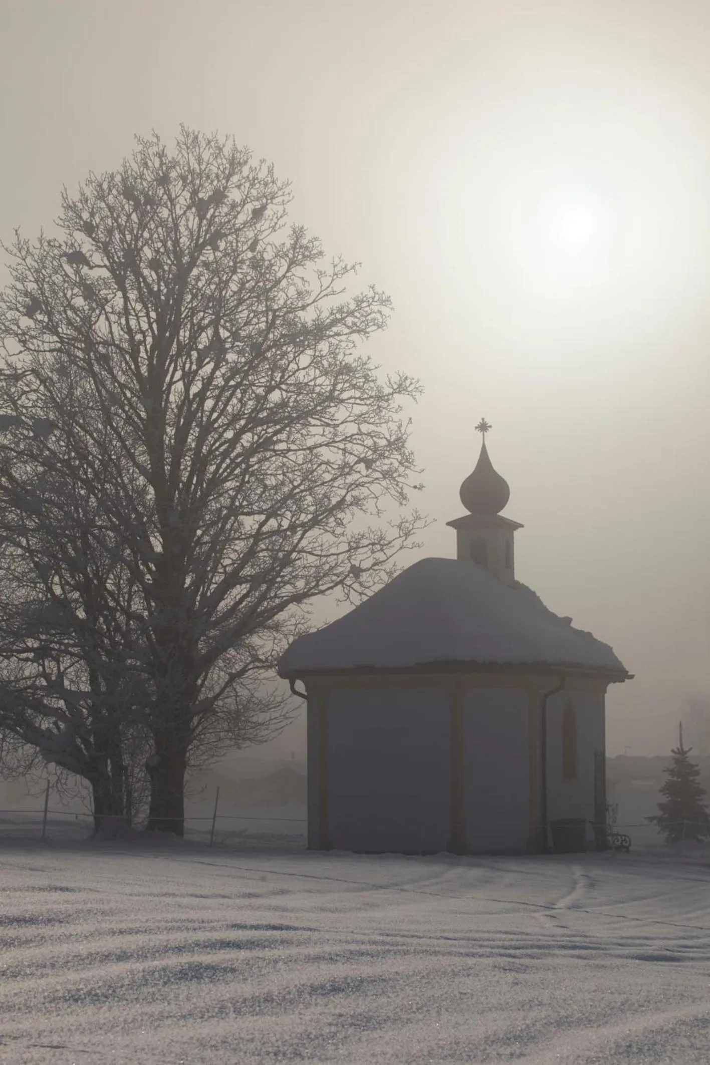 Natural landscape in Hotel Garni Tirol