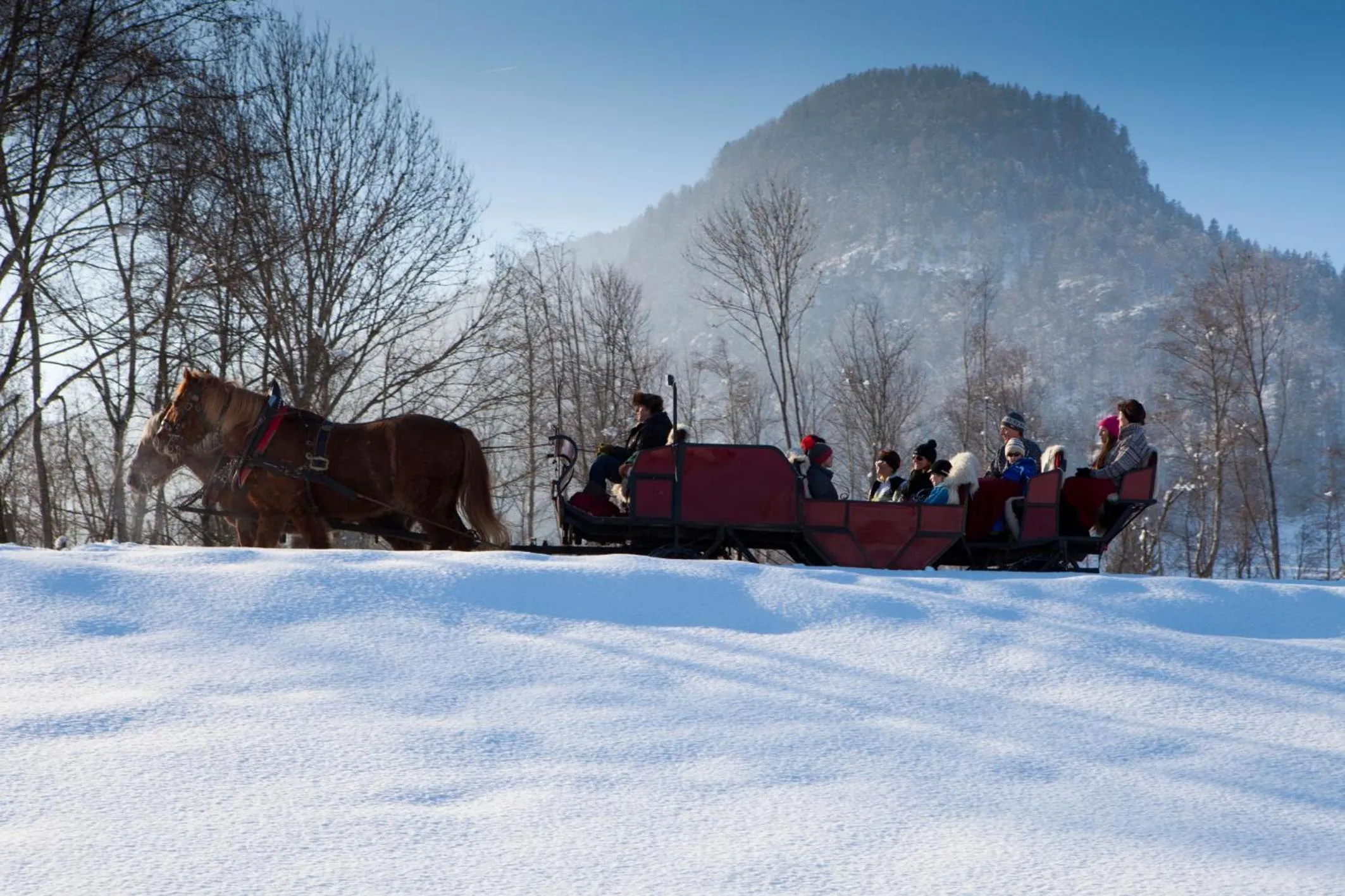 Natural landscape in Hotel Garni Tirol