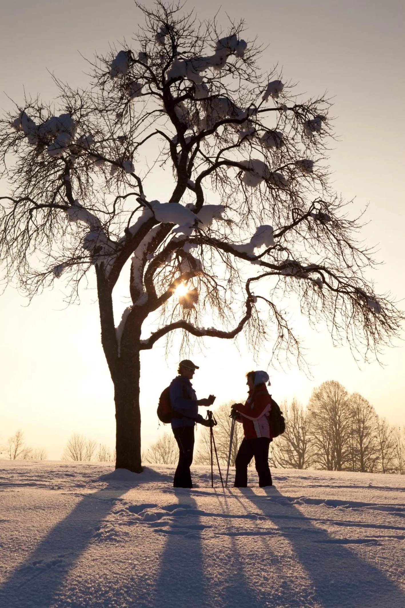 Hiking in Hotel Garni Tirol