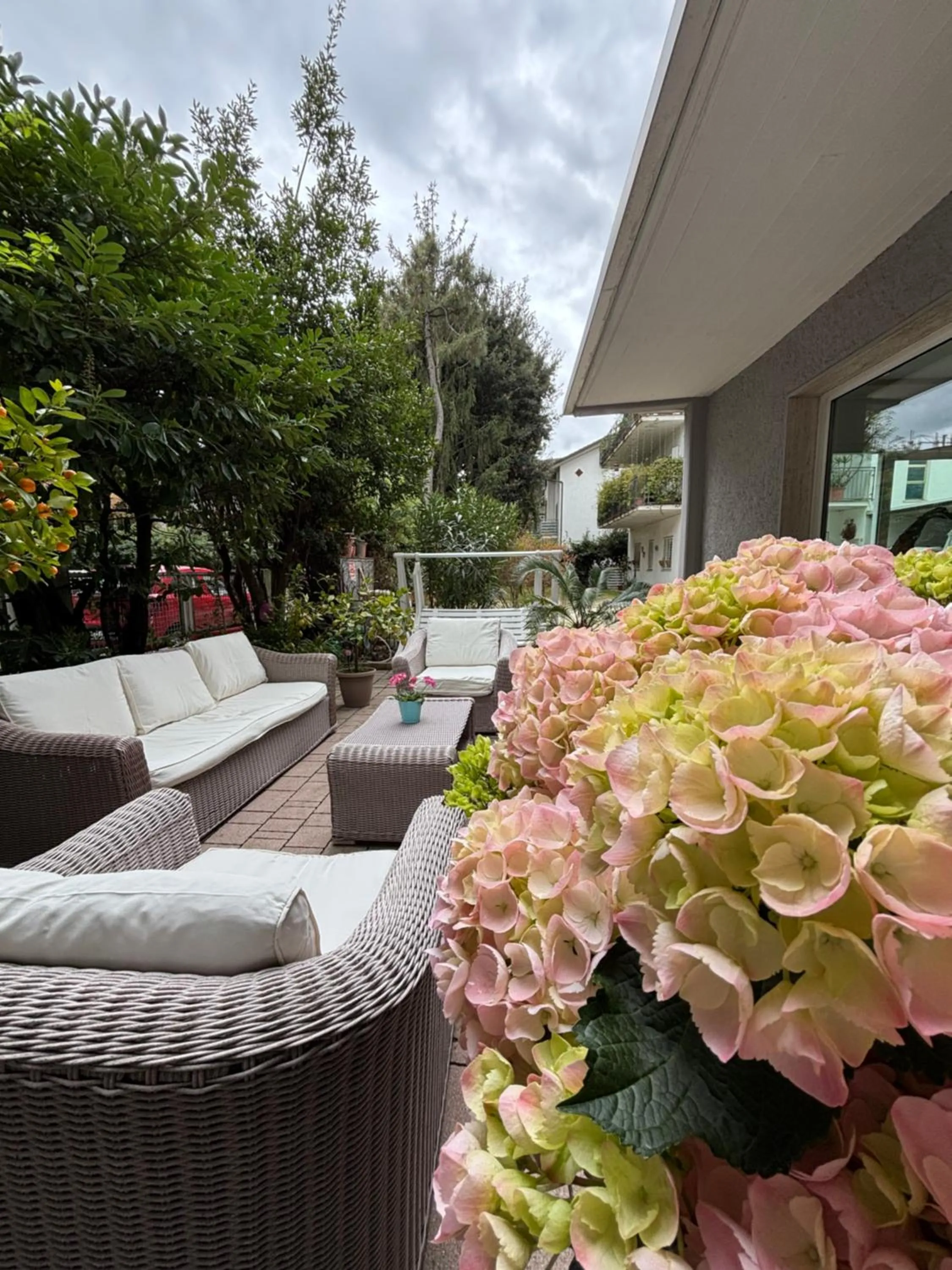 Garden in Hotel Gianlore