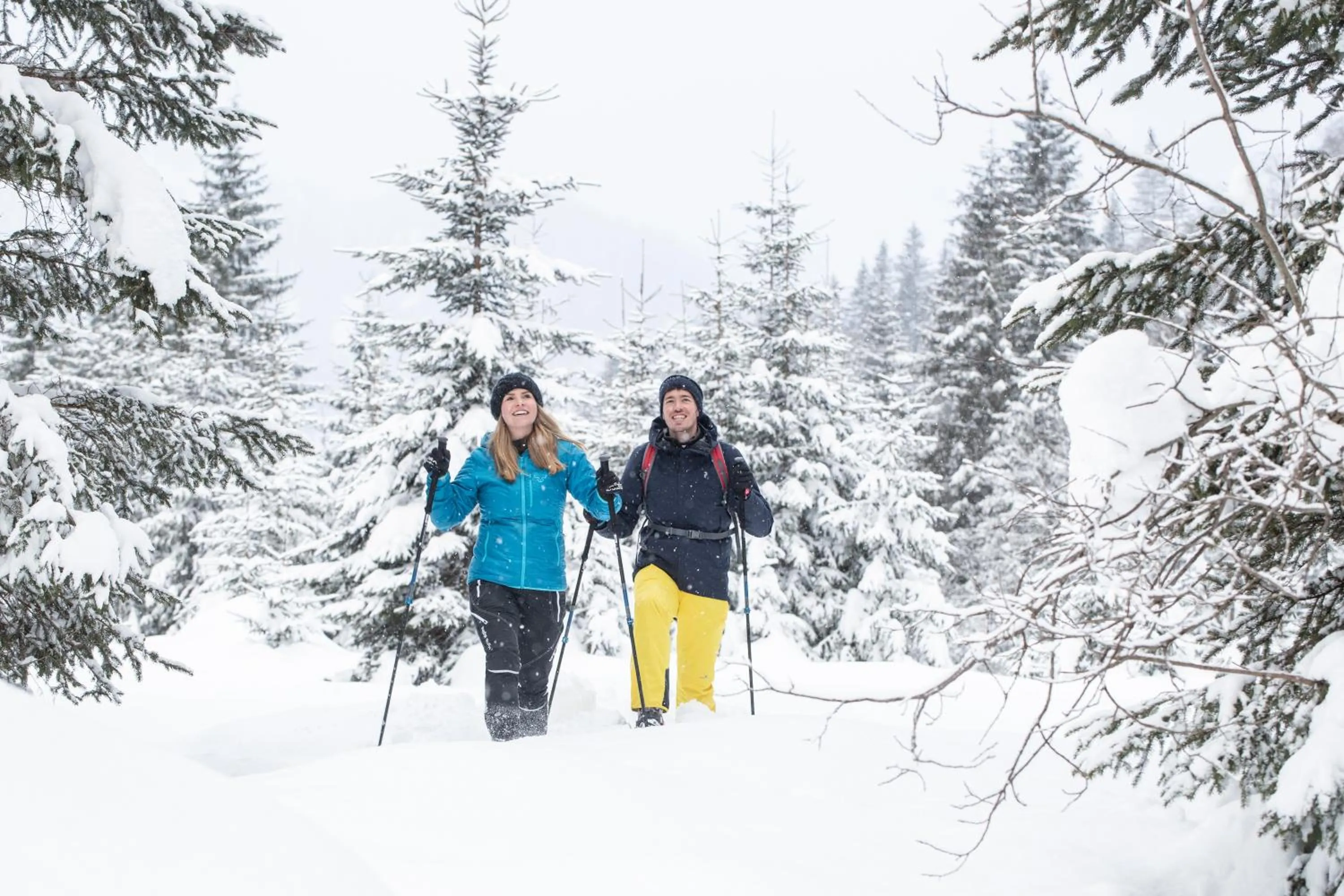 Natural landscape in Aktivhotel Gasteiner Einkehr