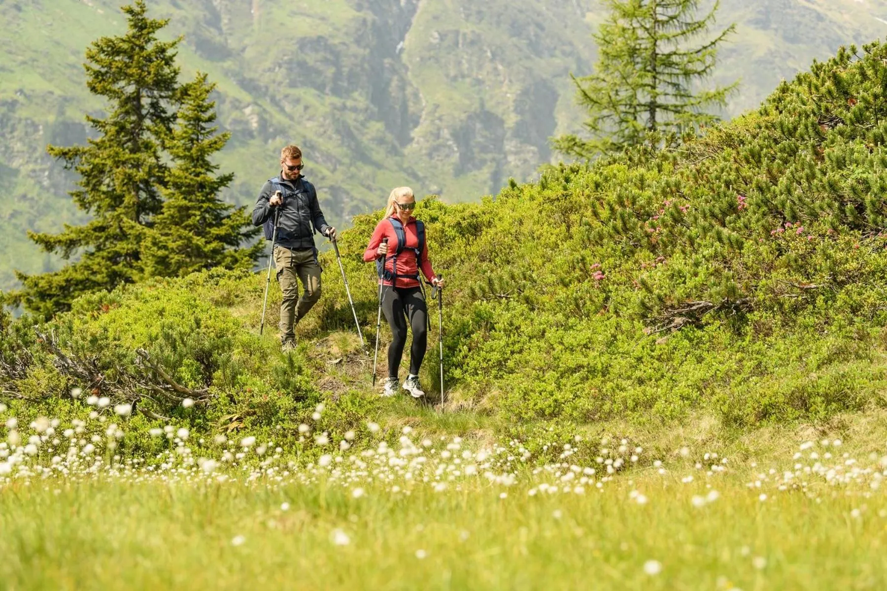 Hiking in Aktivhotel Gasteiner Einkehr