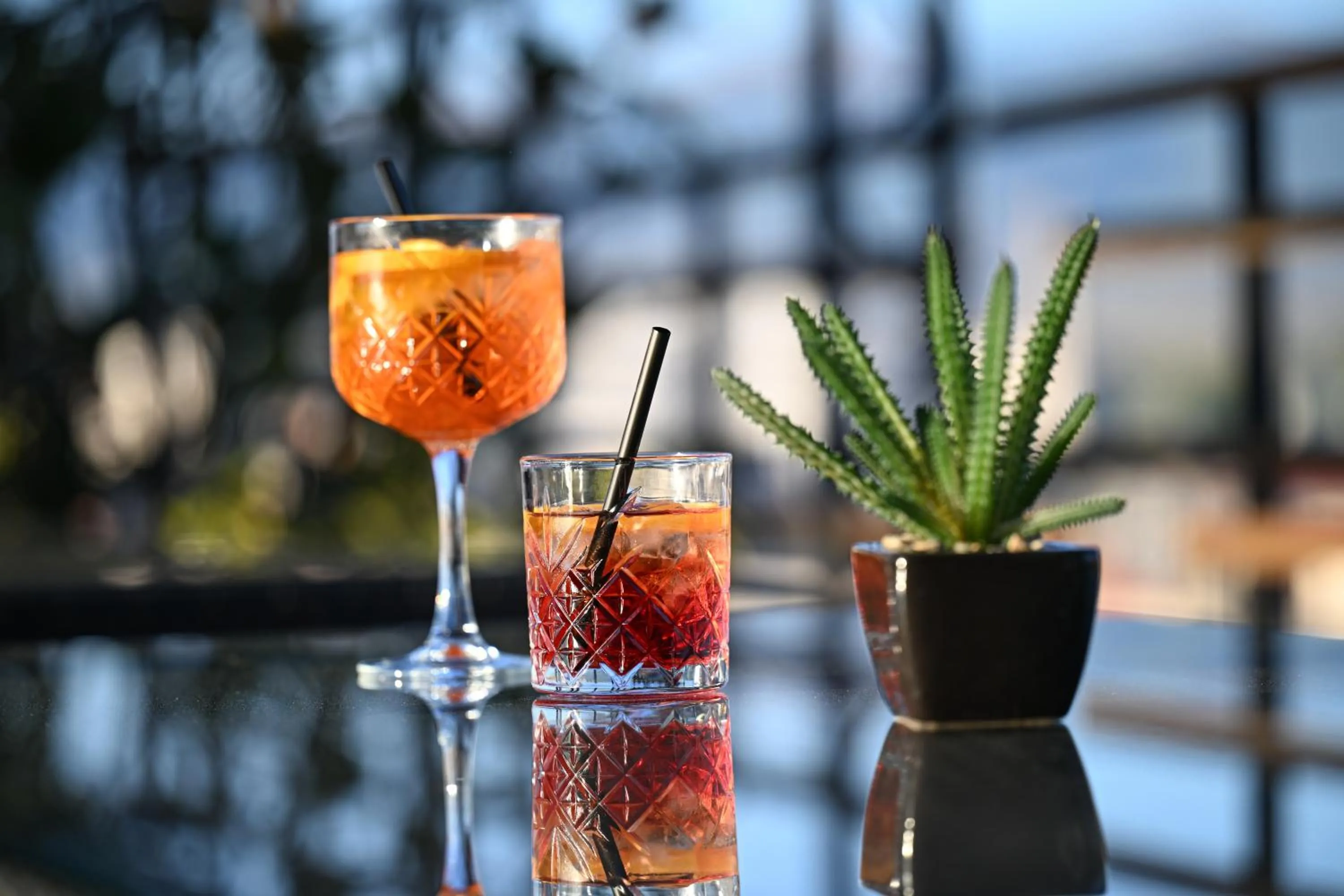 Drinks in Hotel Arka