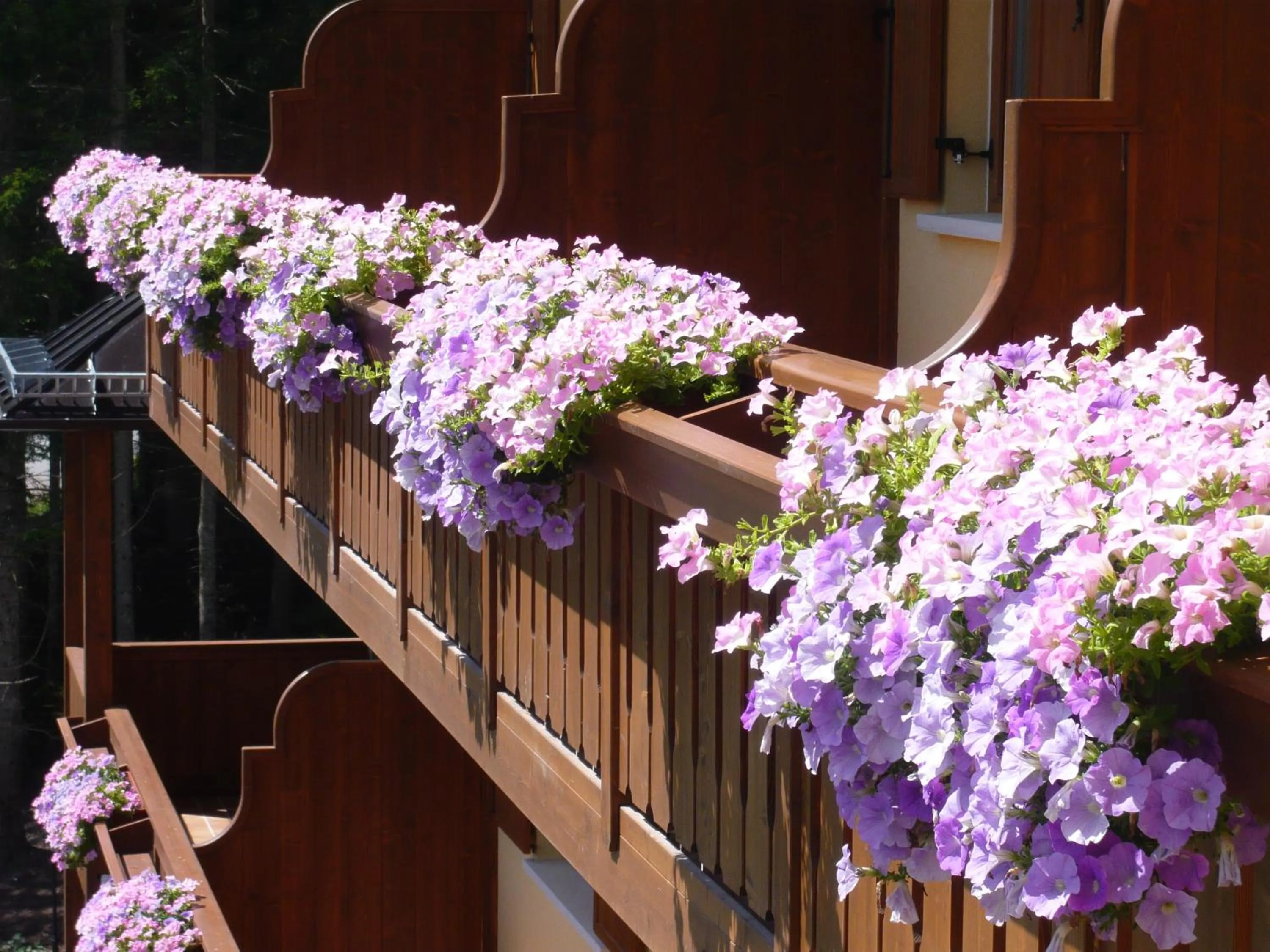 Balcony/Terrace in Residence Panorama