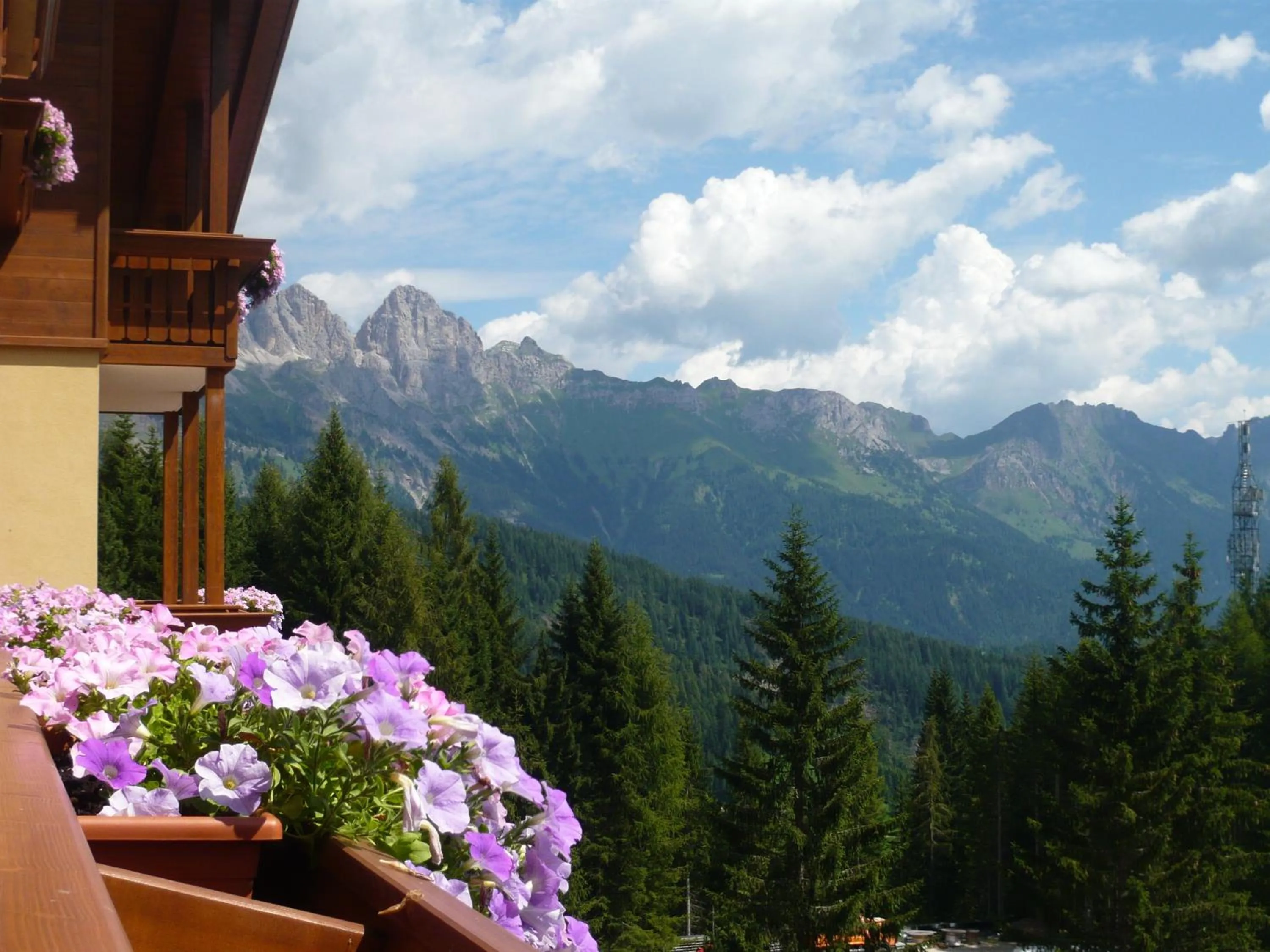 Natural landscape in Residence Panorama