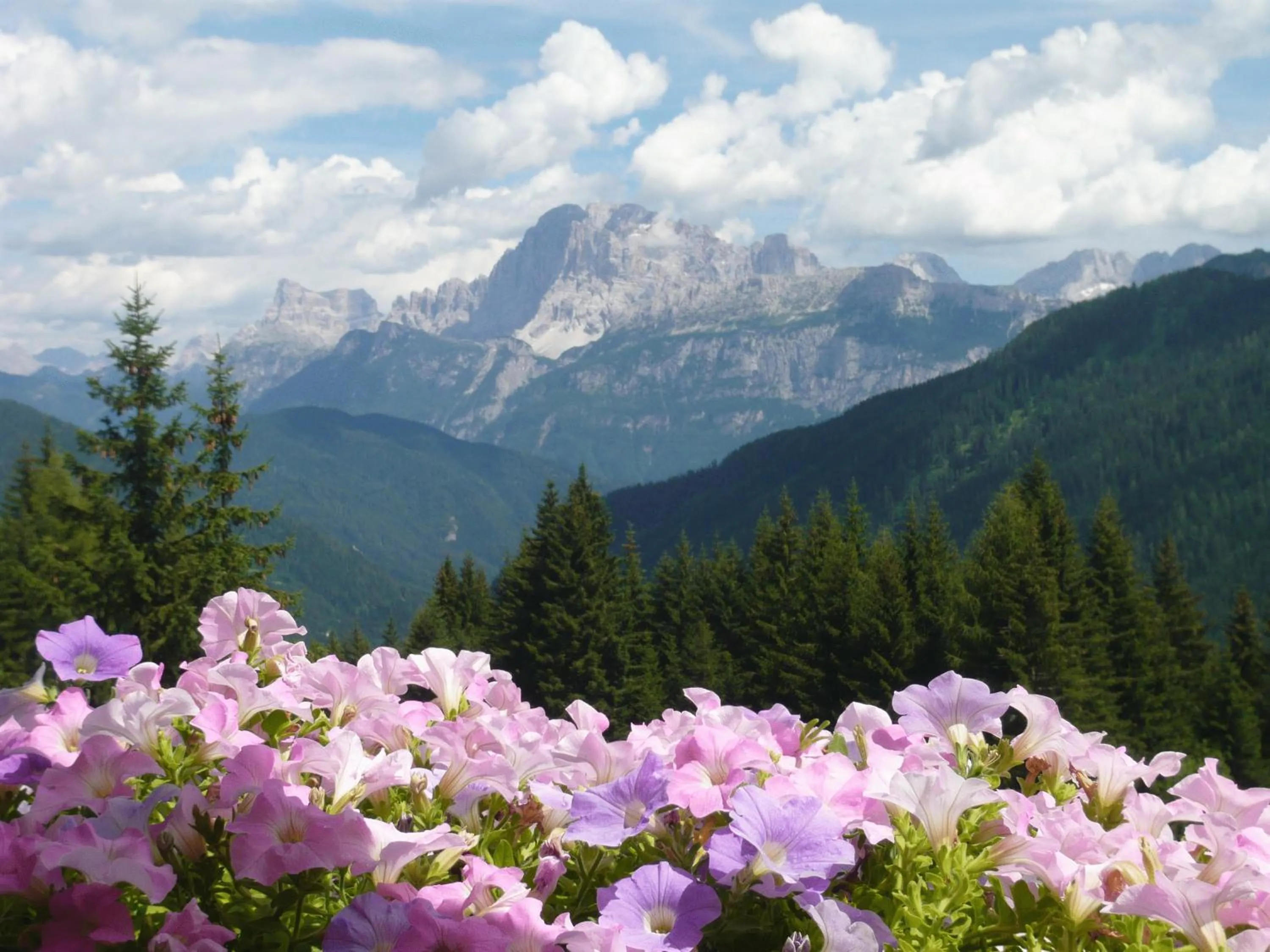 Natural landscape in Residence Panorama