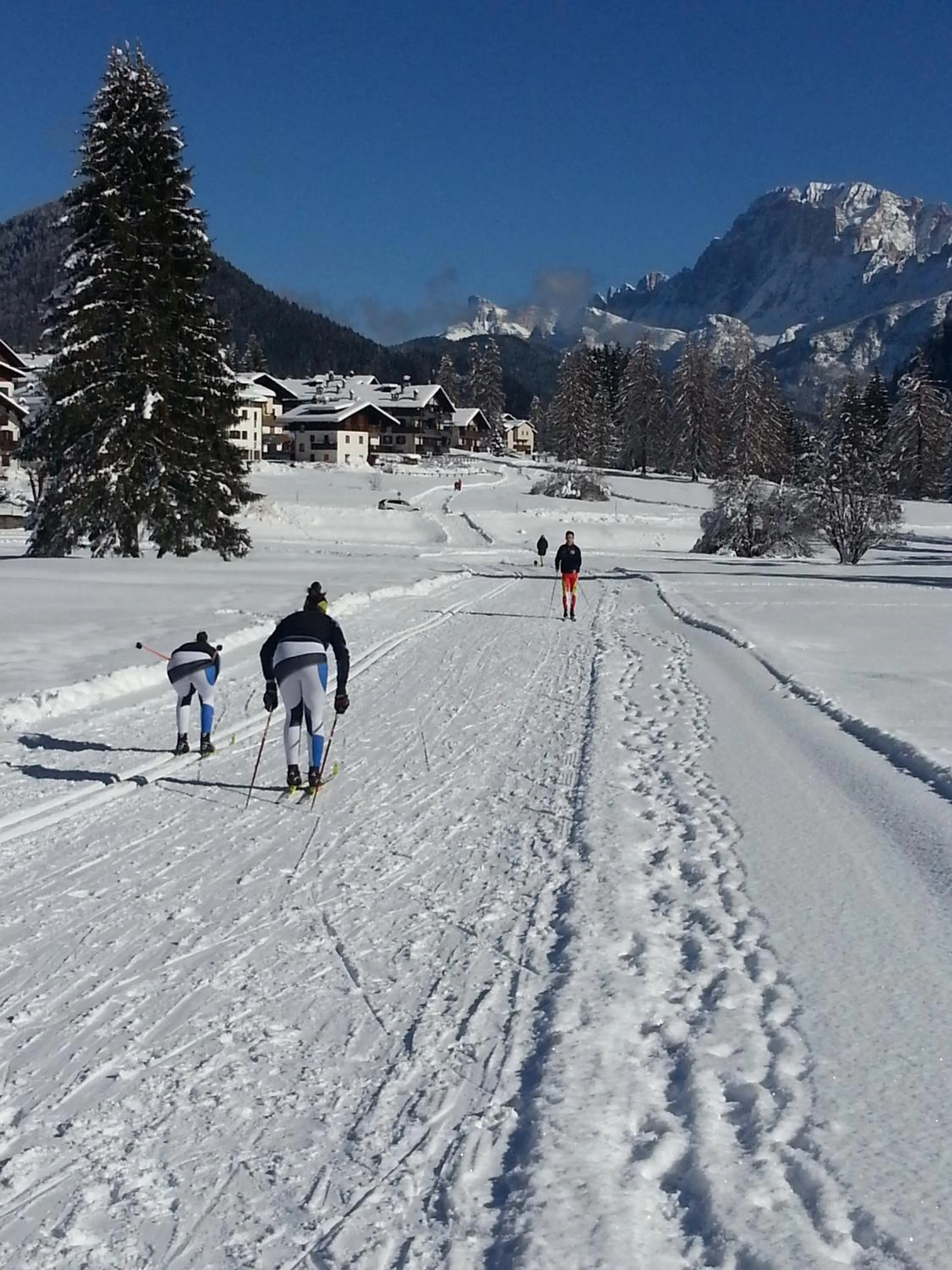 Skiing in Residence Panorama