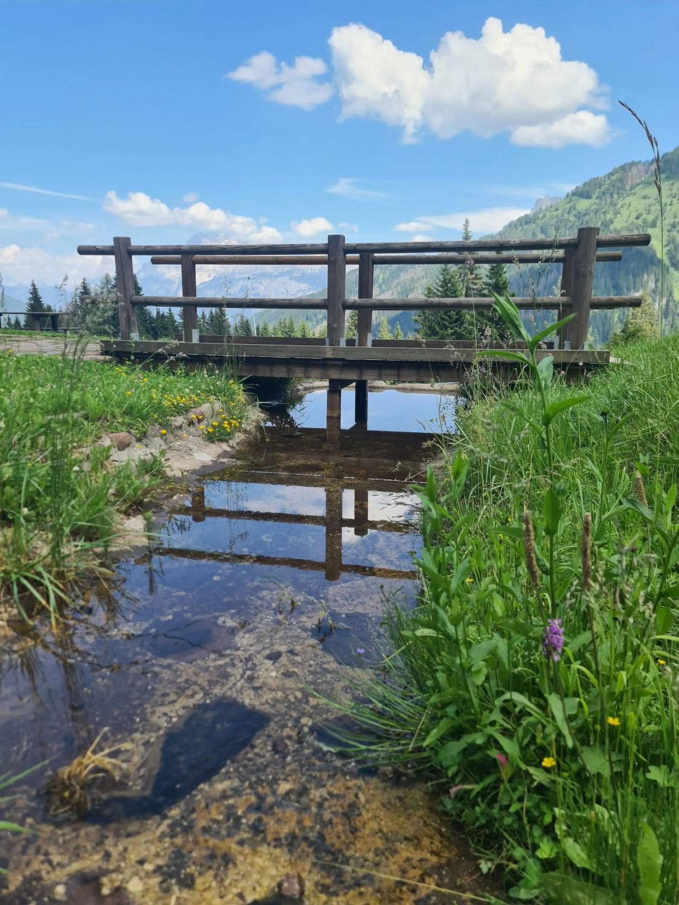 Summer in Residence Panorama
