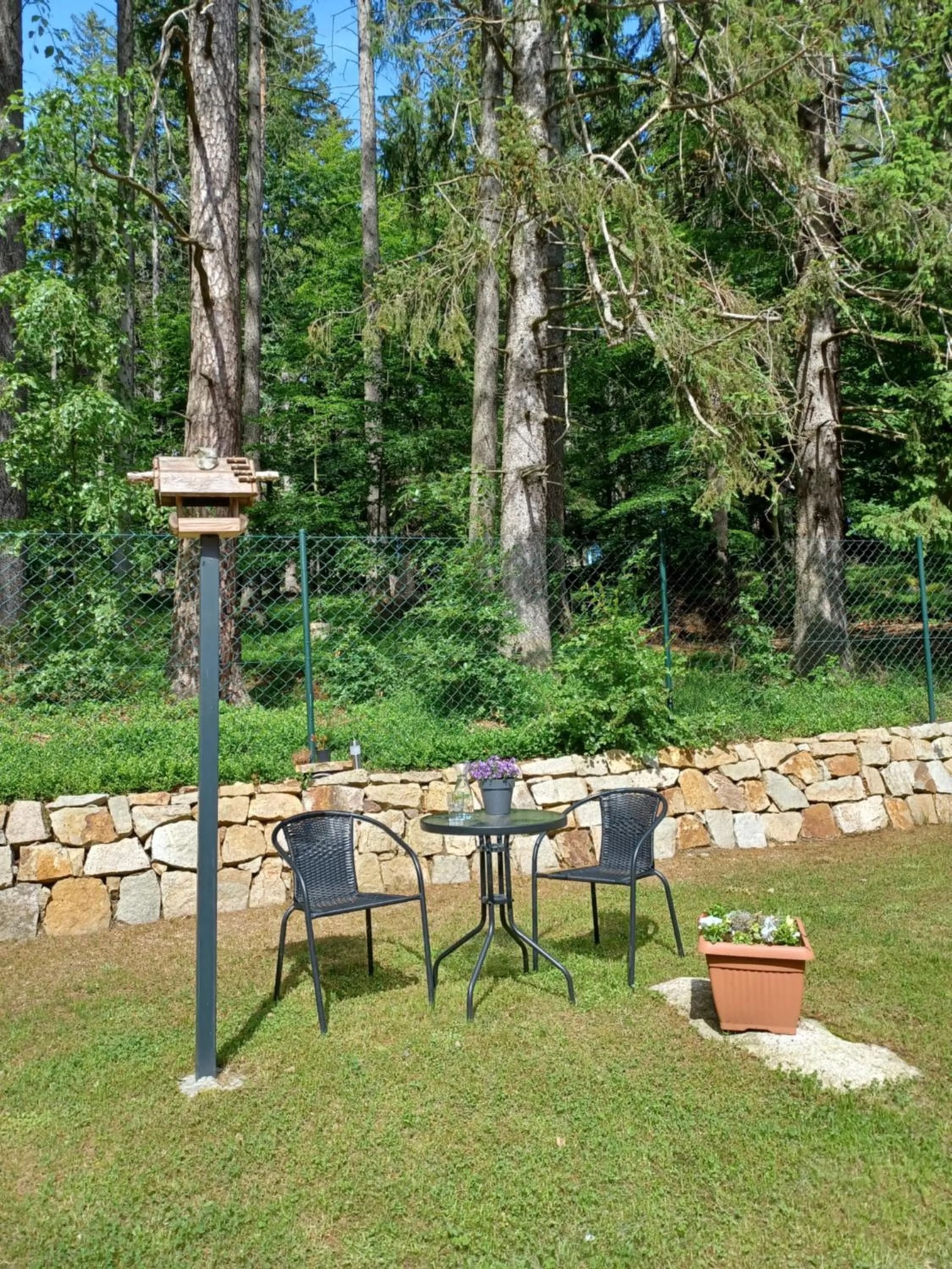 Garden in Villa Obis